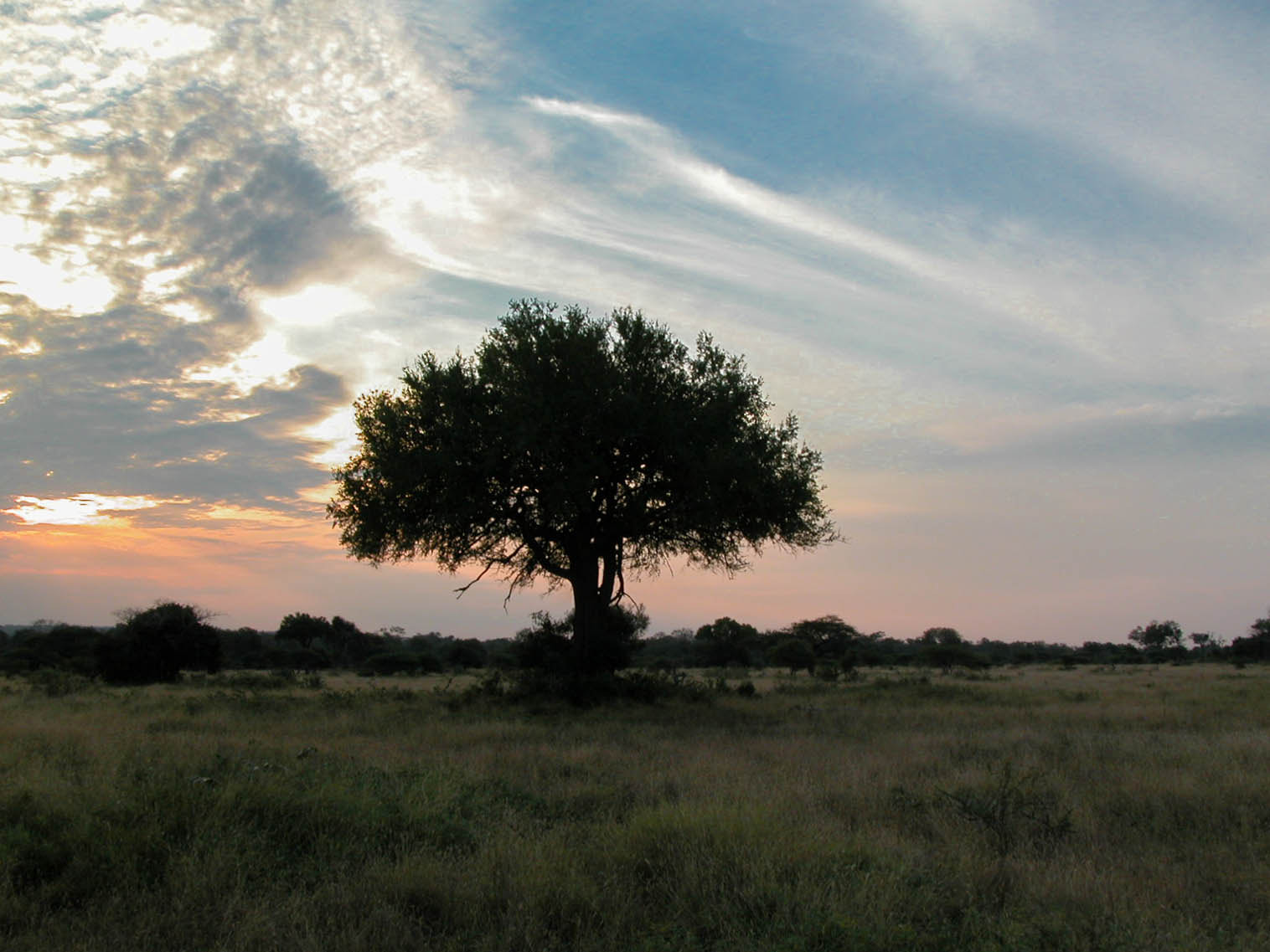 Nikon E5700 sample photo. Sunset  in the savanna photography