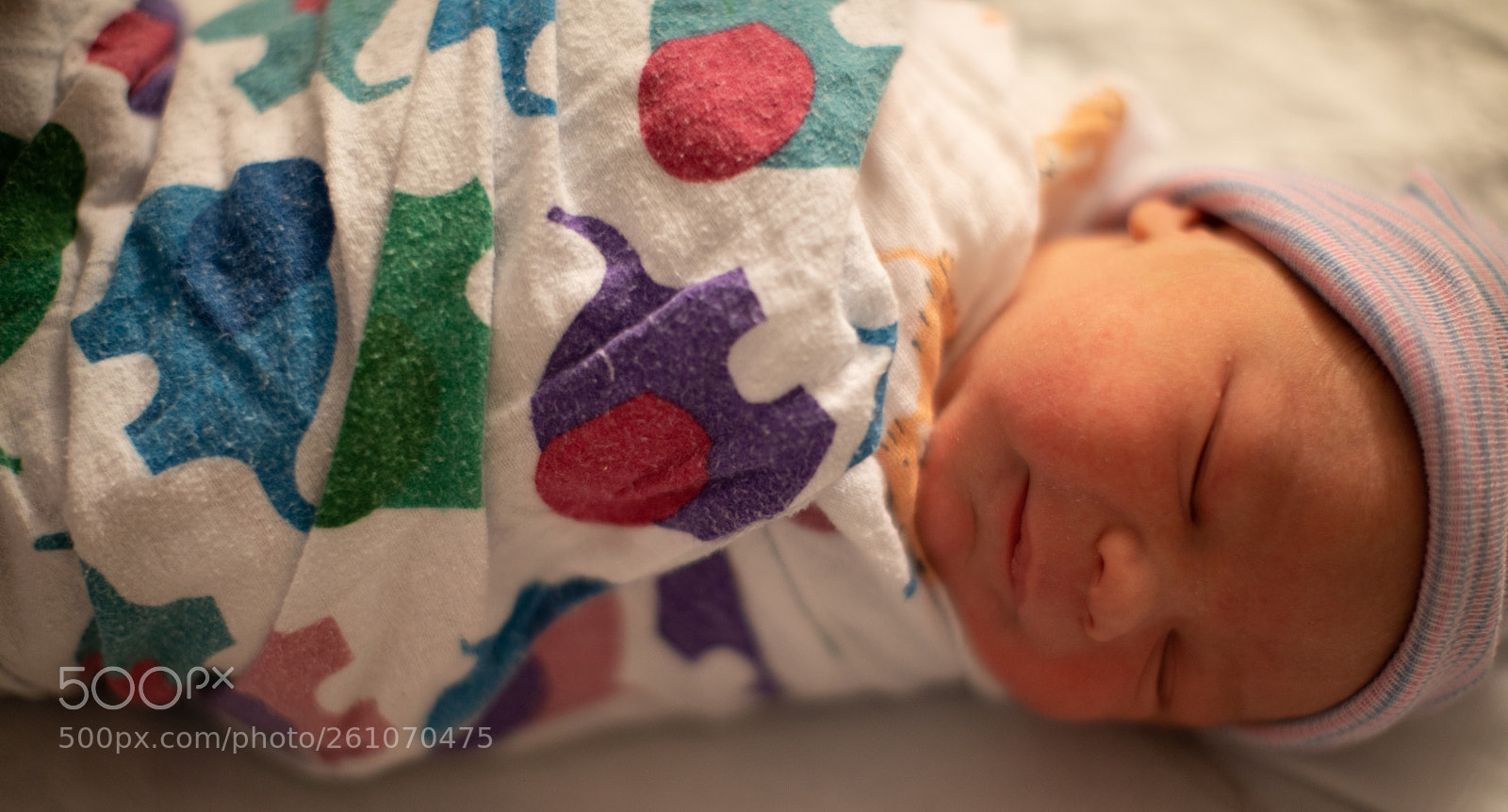 Canon EOS 5D Mark IV sample photo. Rodrigo andres photography