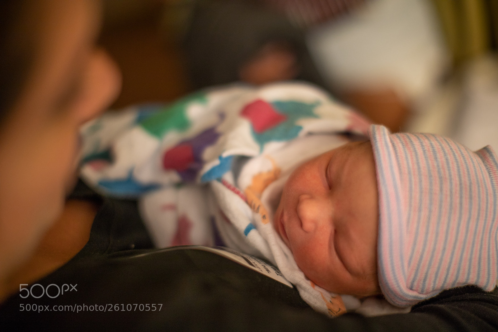 Canon EOS 5D Mark IV sample photo. Rodrigo andres photography