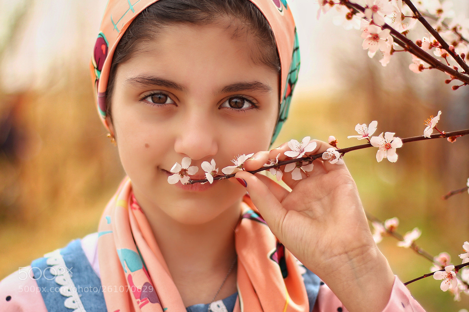 Canon EOS 60D sample photo. Untitled photography