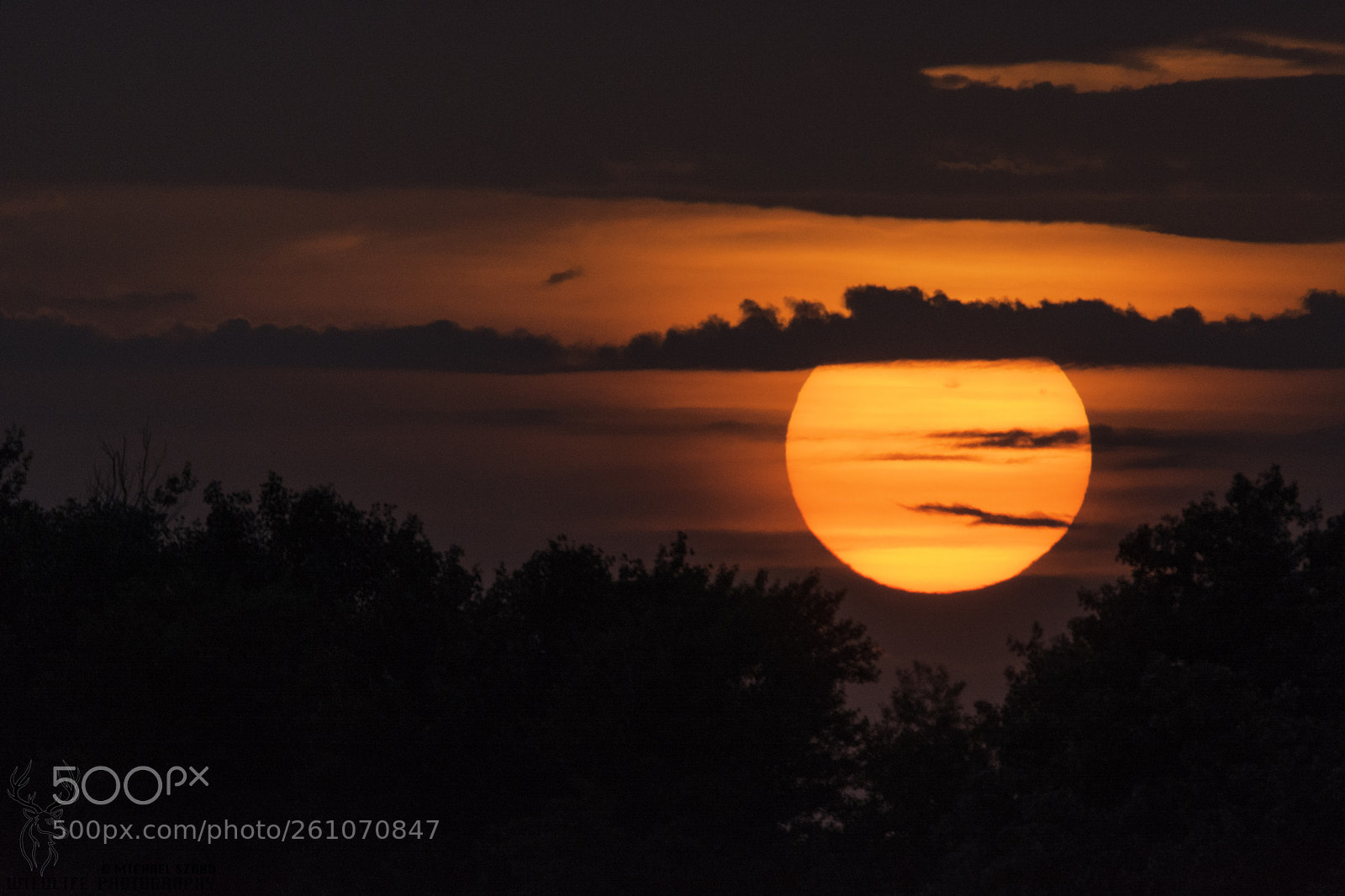 Nikon D7100 sample photo. Power of life photography