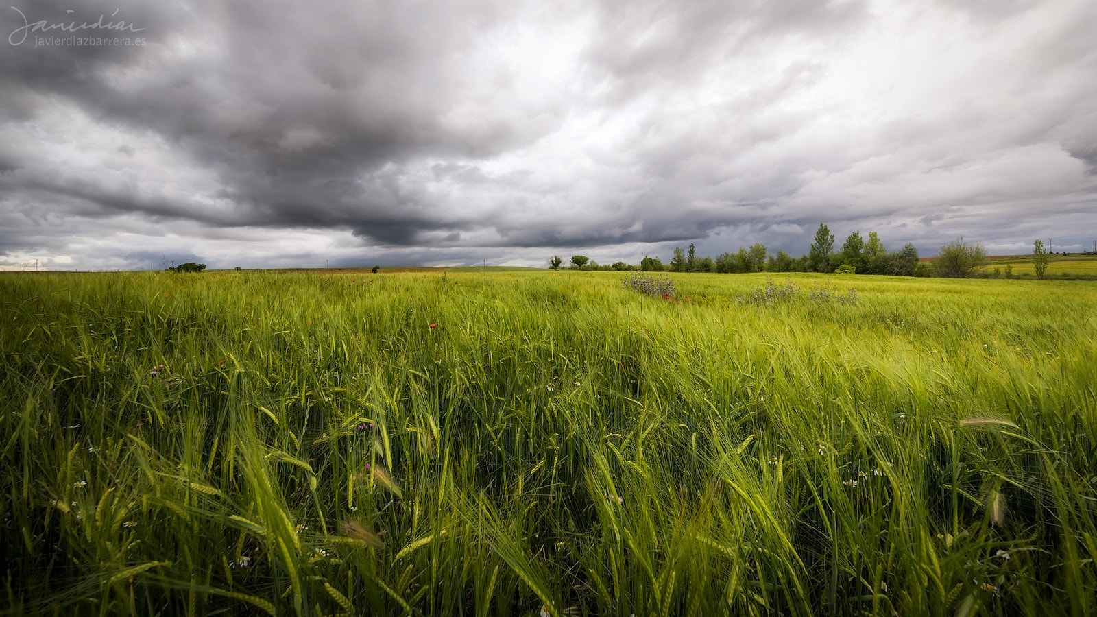 Sony a99 II sample photo. Stormy light photography