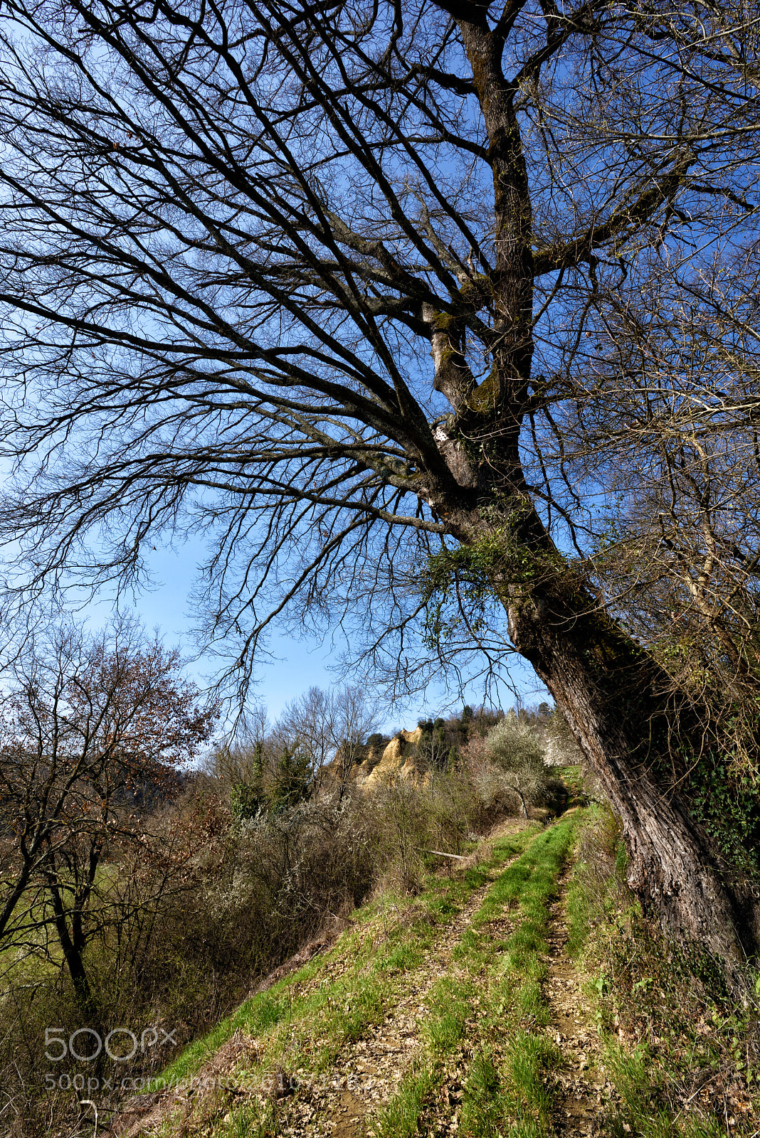 Nikon D810 sample photo. In sky and earth photography