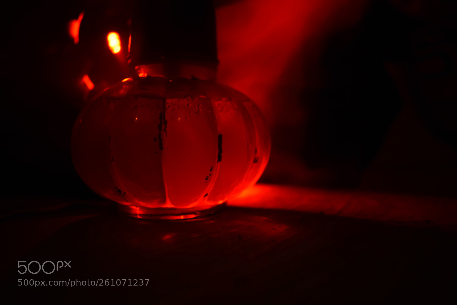 Nikon D5300 sample photo. Untitled photography
