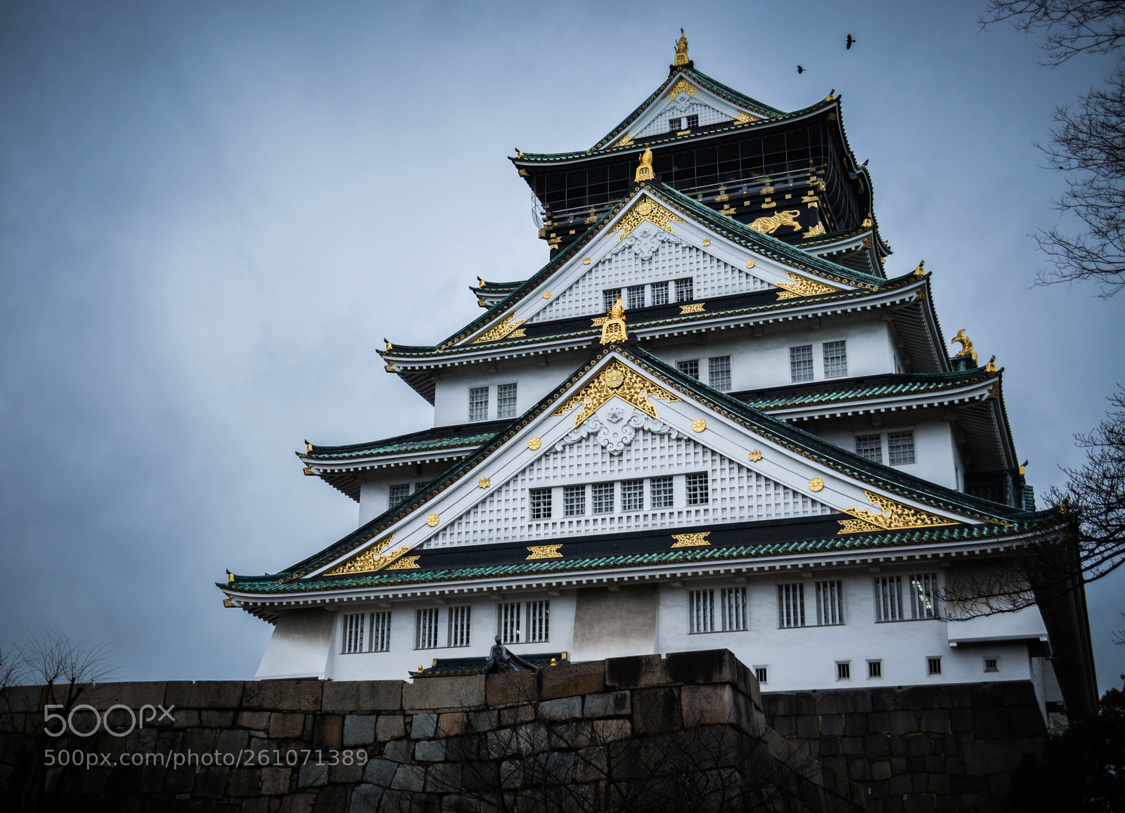 Nikon D7100 sample photo. Osaka castle photography