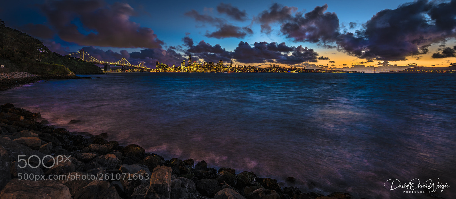 Nikon D810 sample photo. San francisco skyline #46 photography