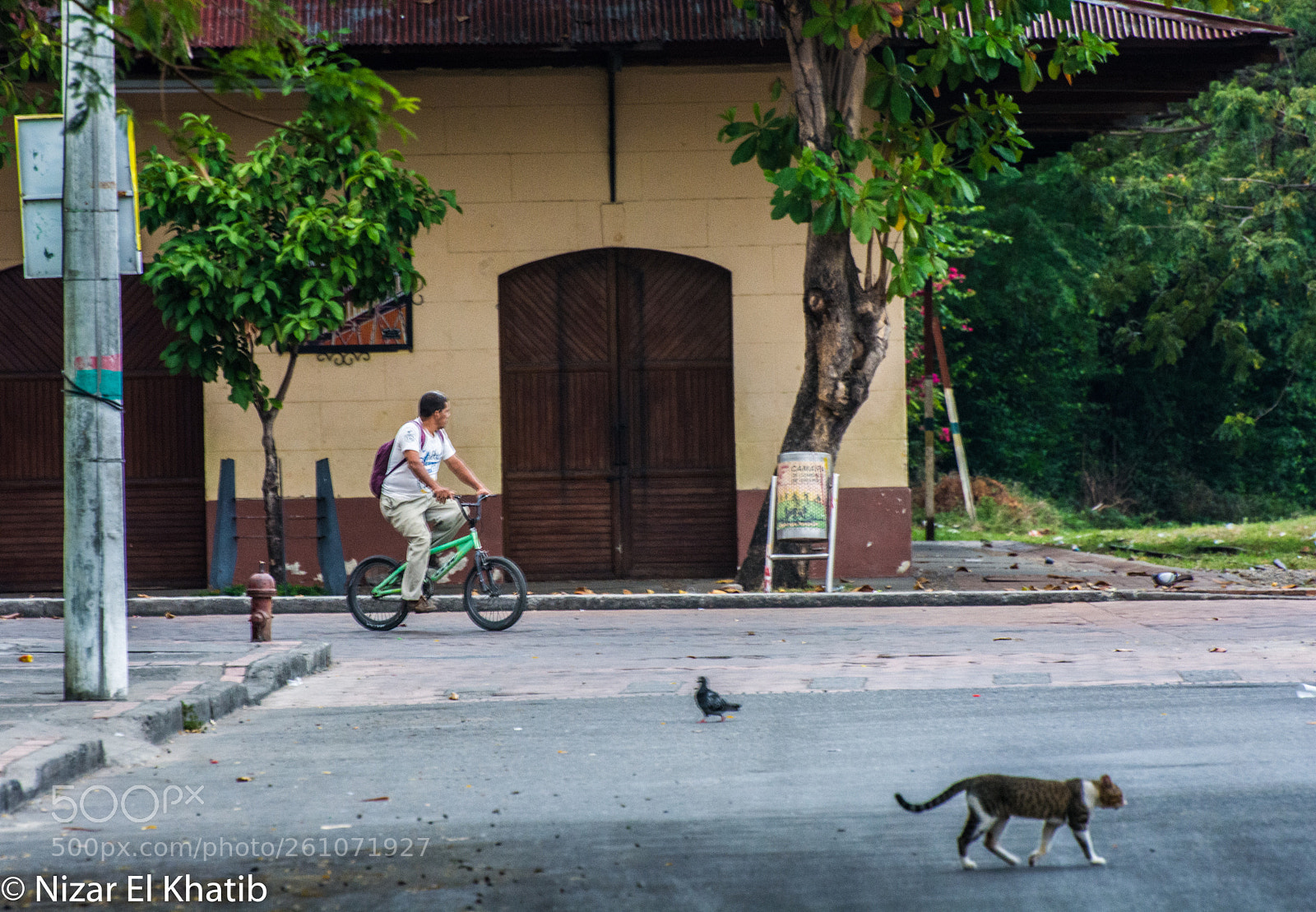 Nikon D5200 sample photo. Symmetry photography
