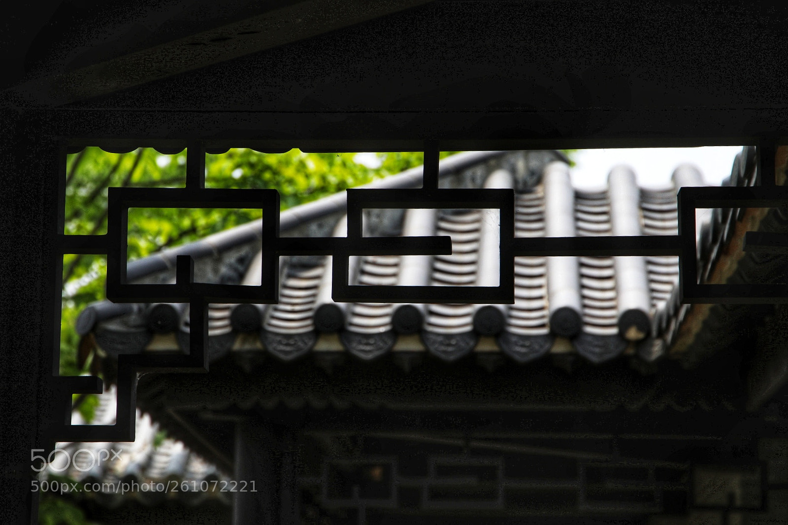 Canon EOS 5D Mark IV sample photo. The roop and pattern photography