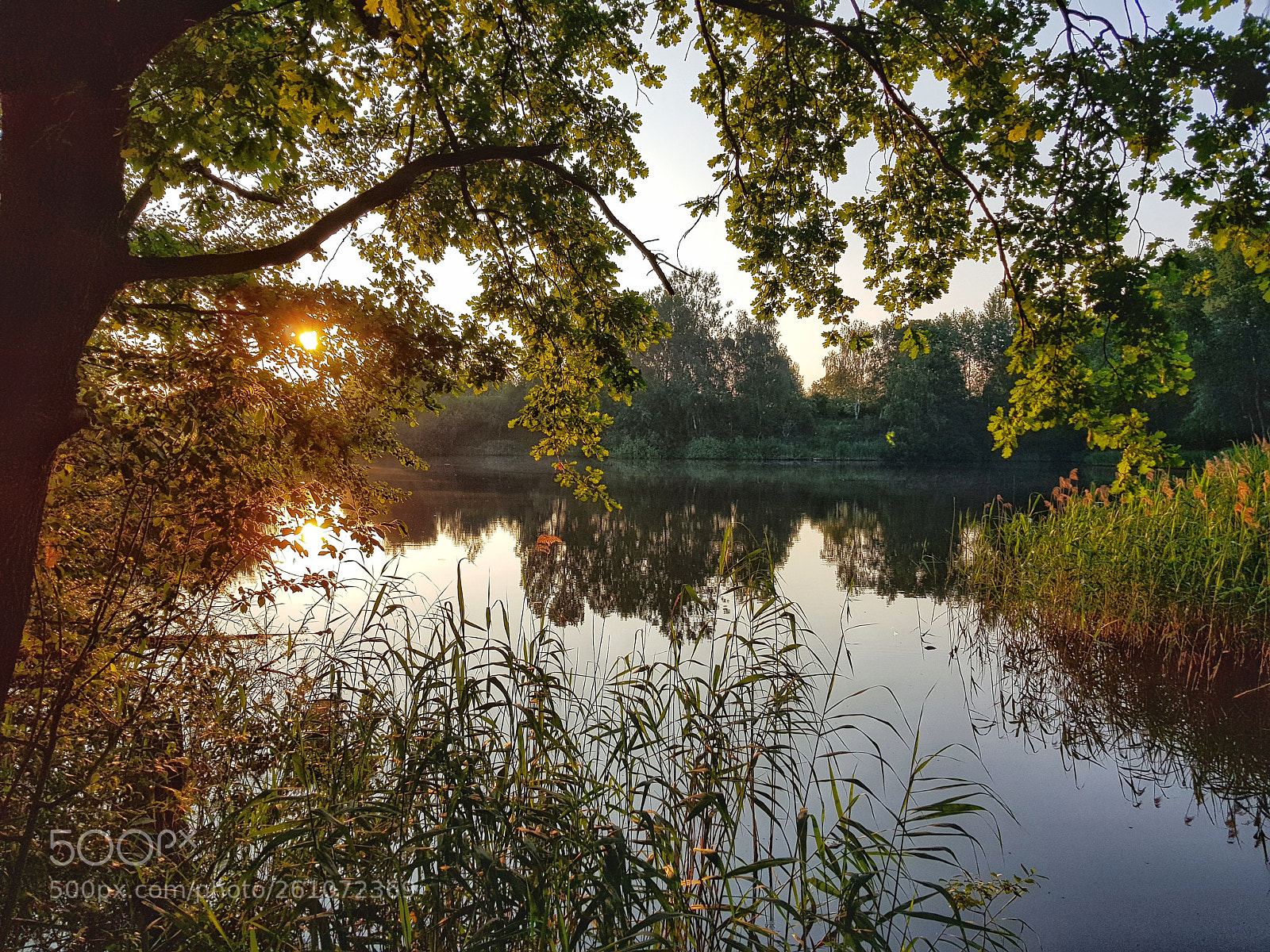 Samsung Galaxy S8+ sample photo. Summer evening photography