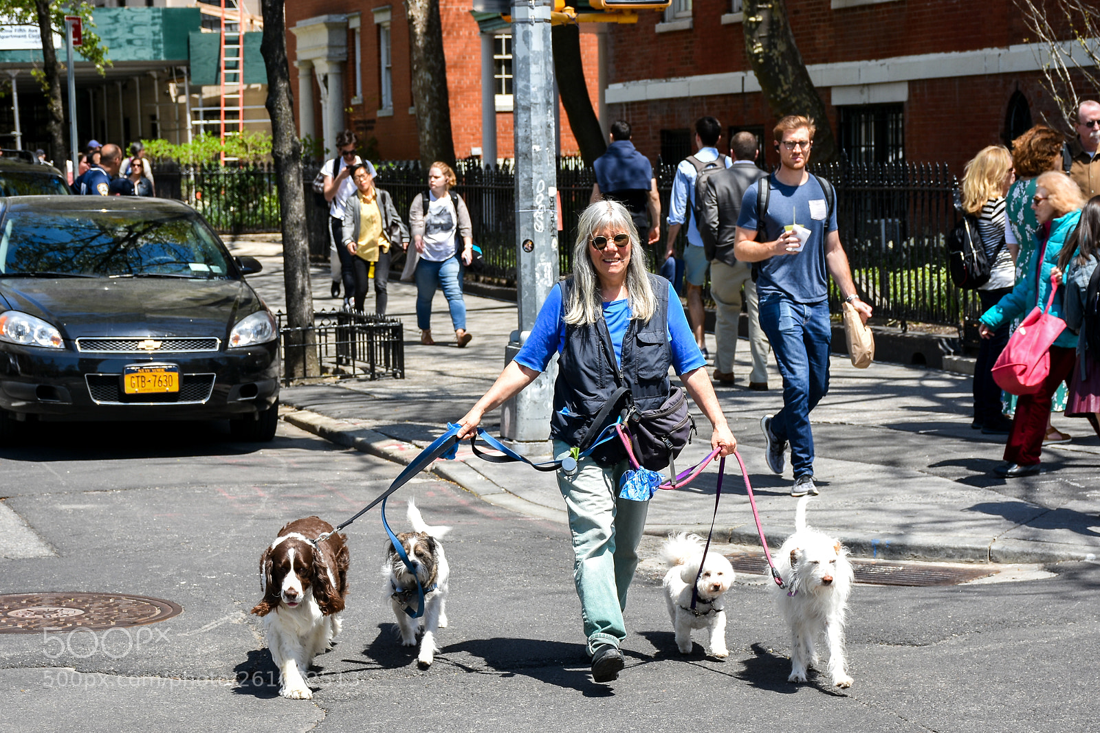 Nikon D7200 sample photo. Dog walk at washington photography