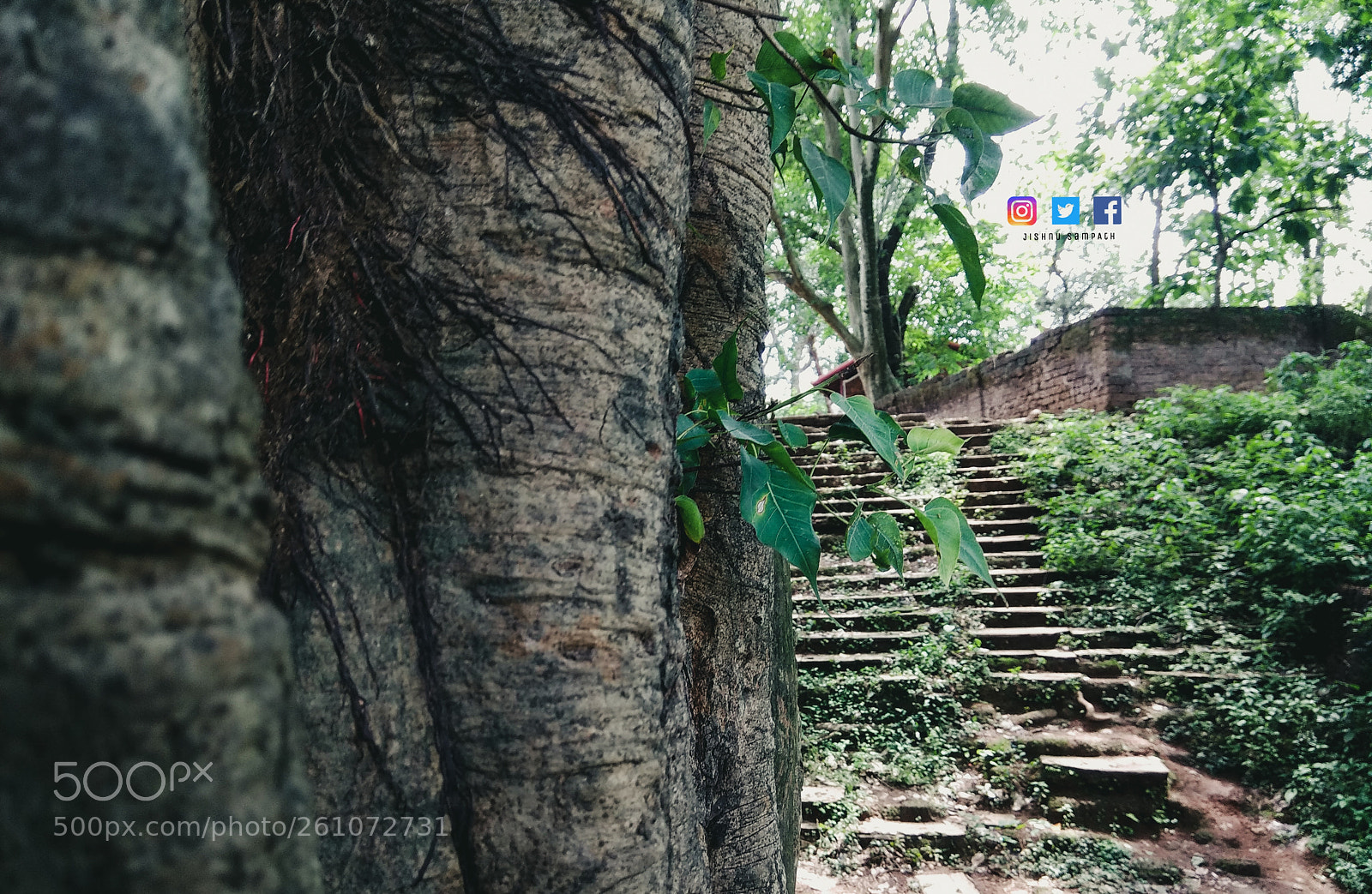 Xiaomi Redmi Note 4 sample photo. Untitled photography
