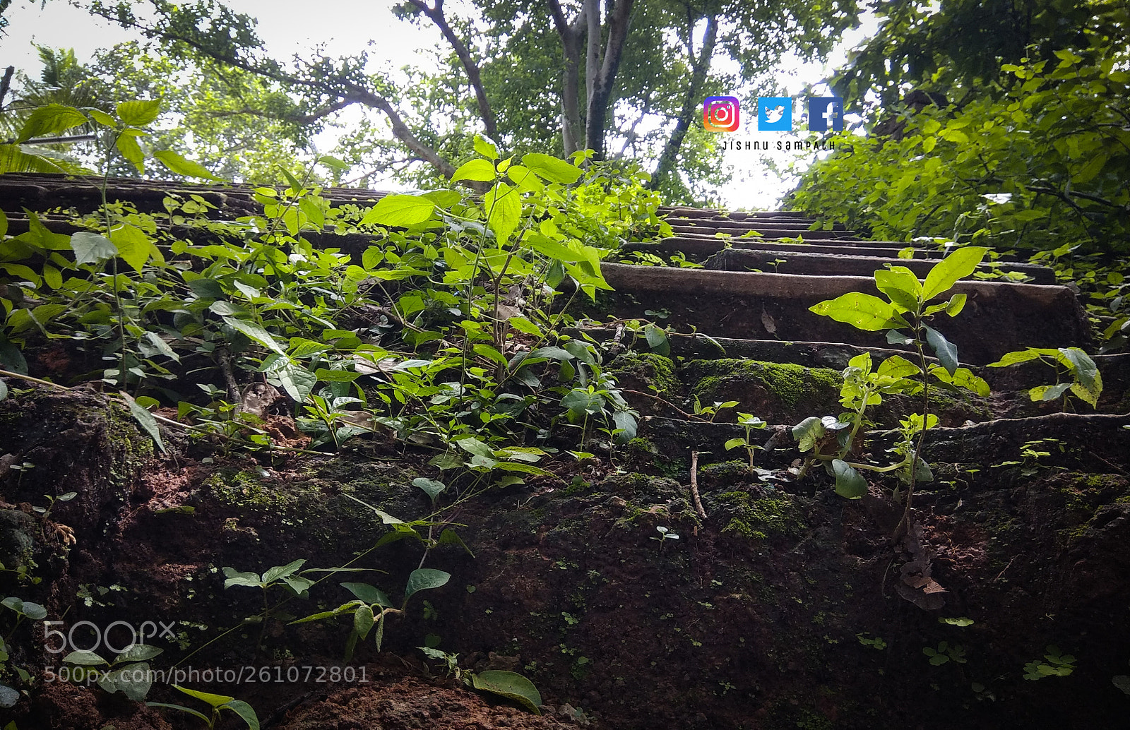 Xiaomi Redmi Note 4 sample photo. Untitled photography