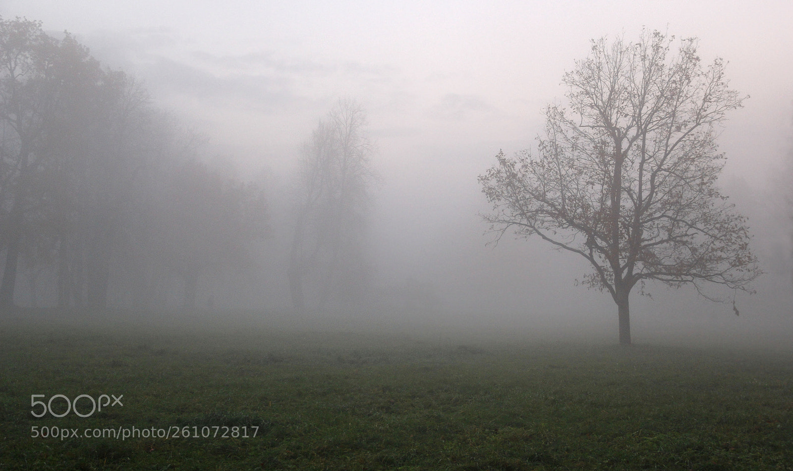 Canon EOS 60D sample photo. Мираж photography