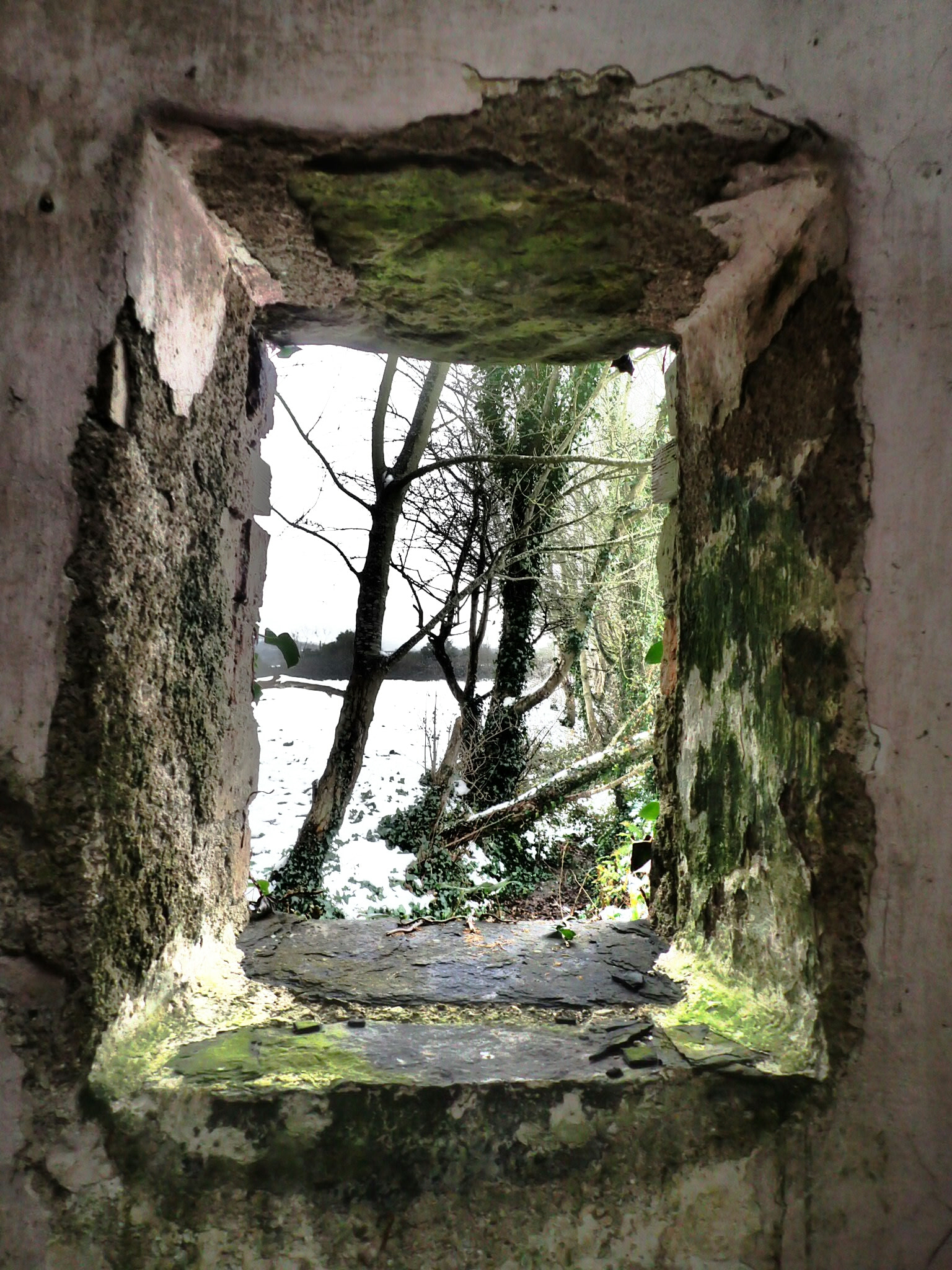 Olympus TG-4 sample photo. Through the looking glass photography