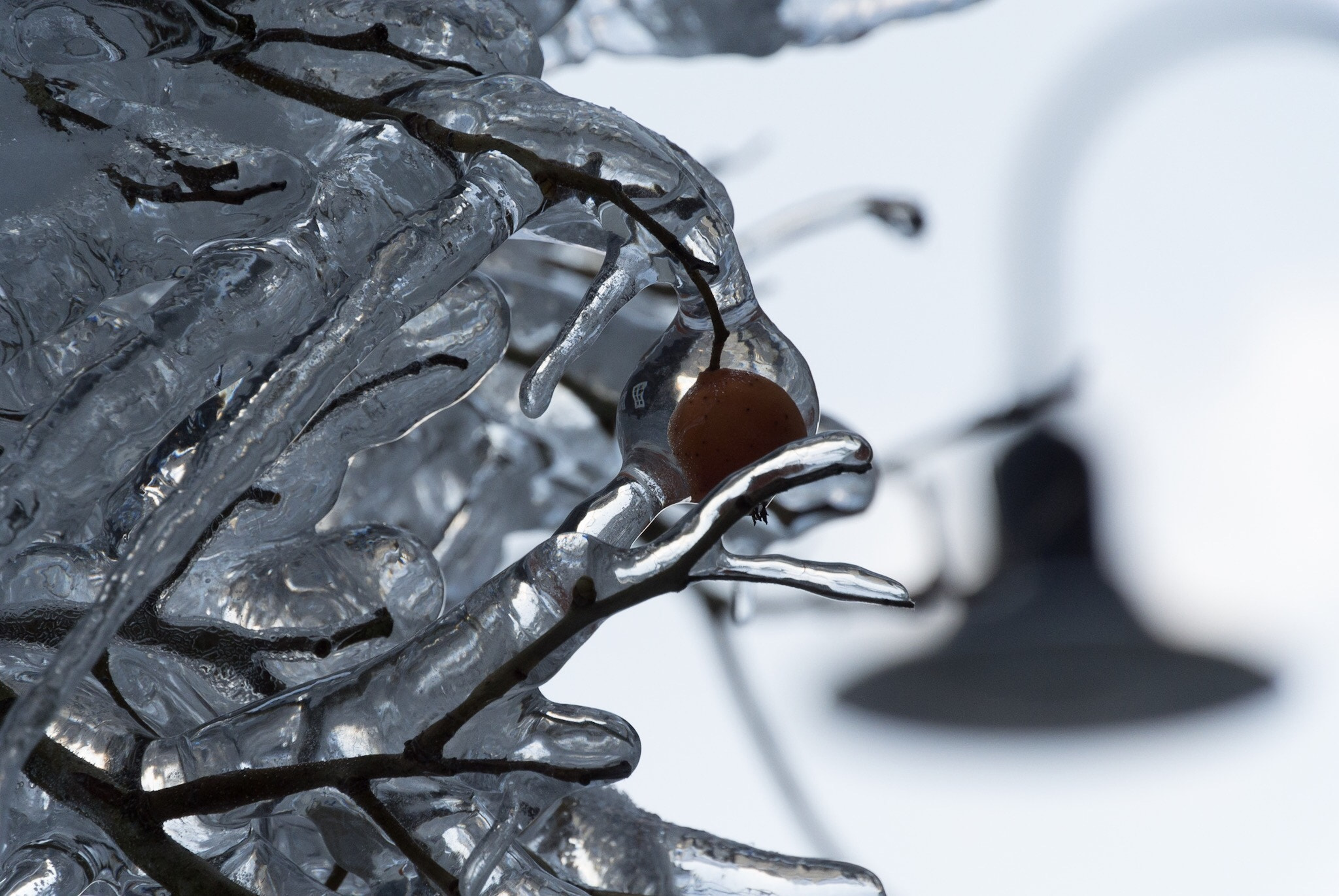 Nikon 1 V1 sample photo. Ice art photography