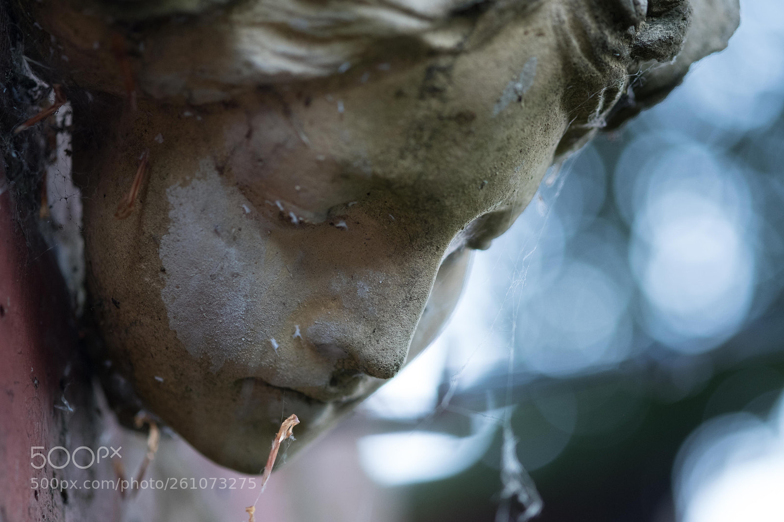 Fujifilm X-T2 sample photo. Distressed... photography
