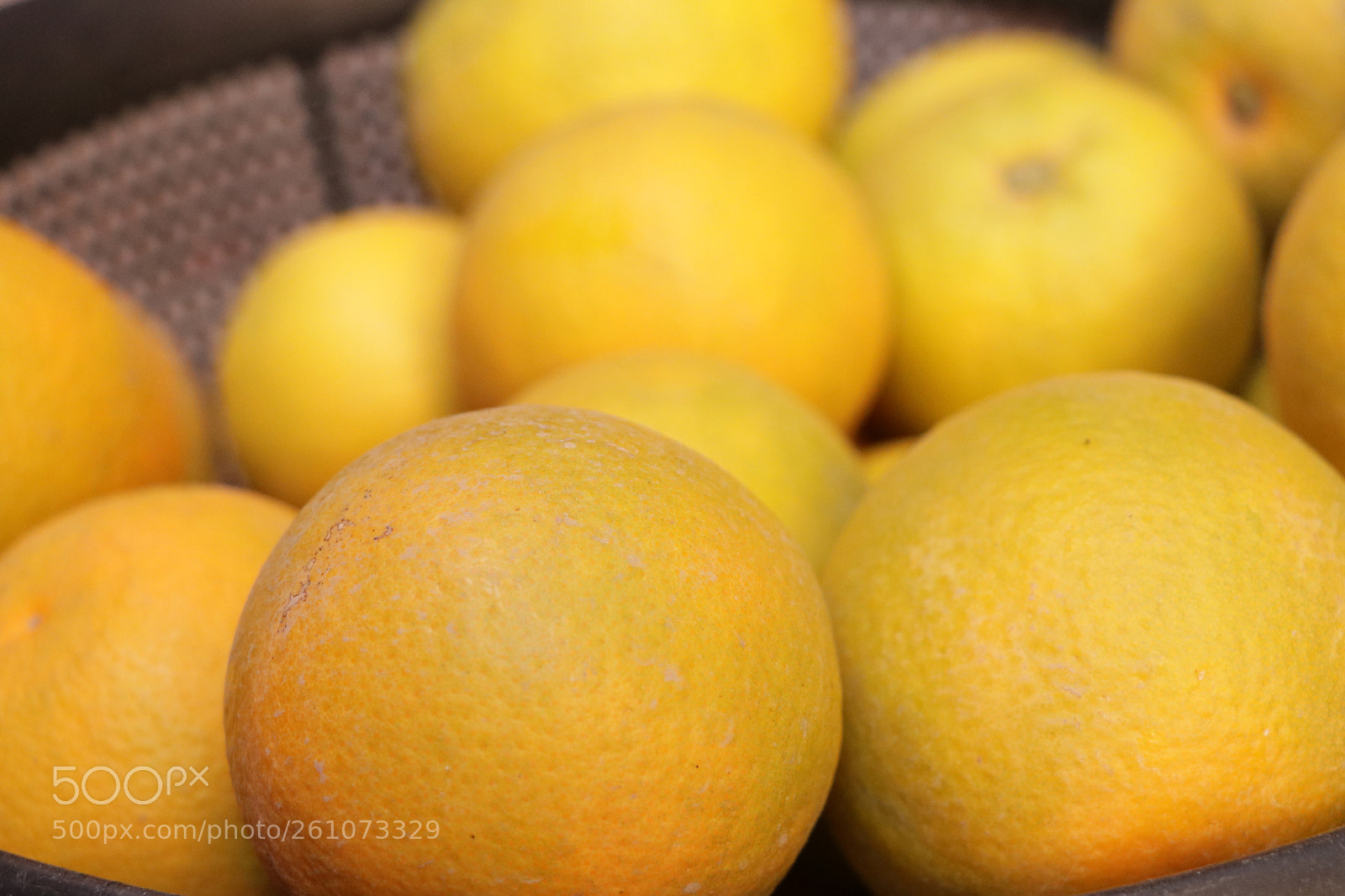 Canon EOS 80D sample photo. Img photography