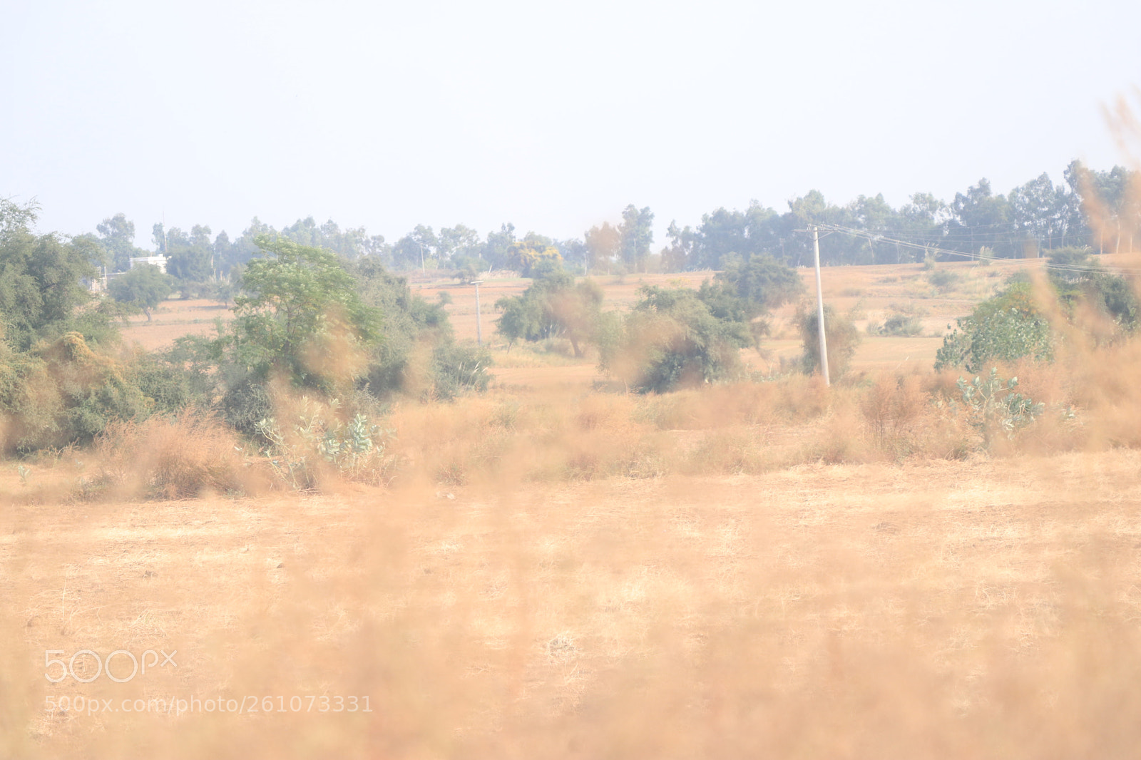 Canon EOS 80D sample photo. Img photography