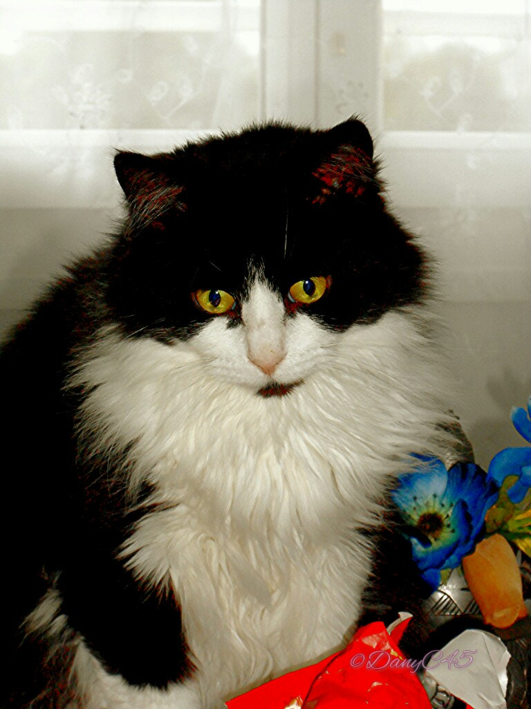 Nikon COOLPIX S2700 sample photo. My isis photography
