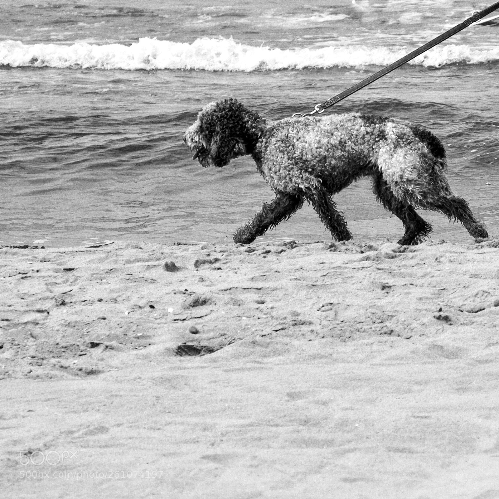 Nikon D5200 sample photo. Untitled photography