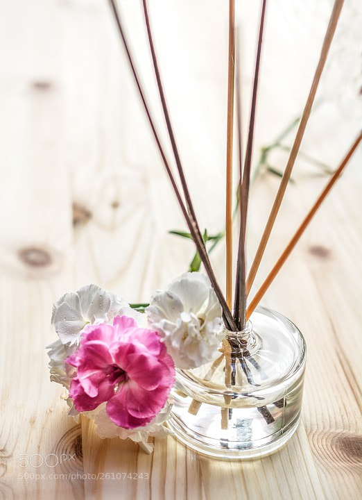 Nikon D5200 sample photo. Home remedies for lice photography