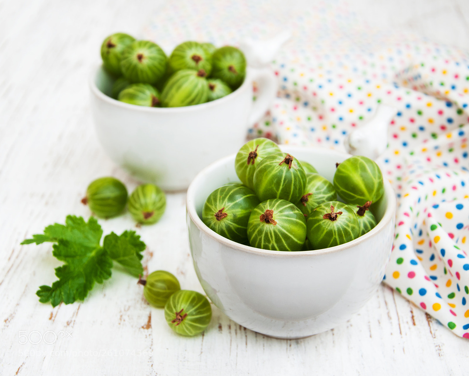 Nikon D90 sample photo. Gooseberries with leaves photography