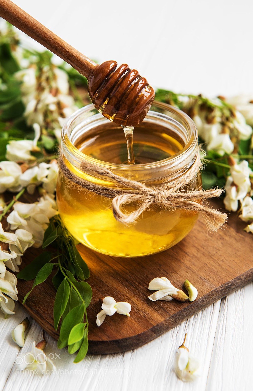 Nikon D750 sample photo. Honey with acacia blossoms photography