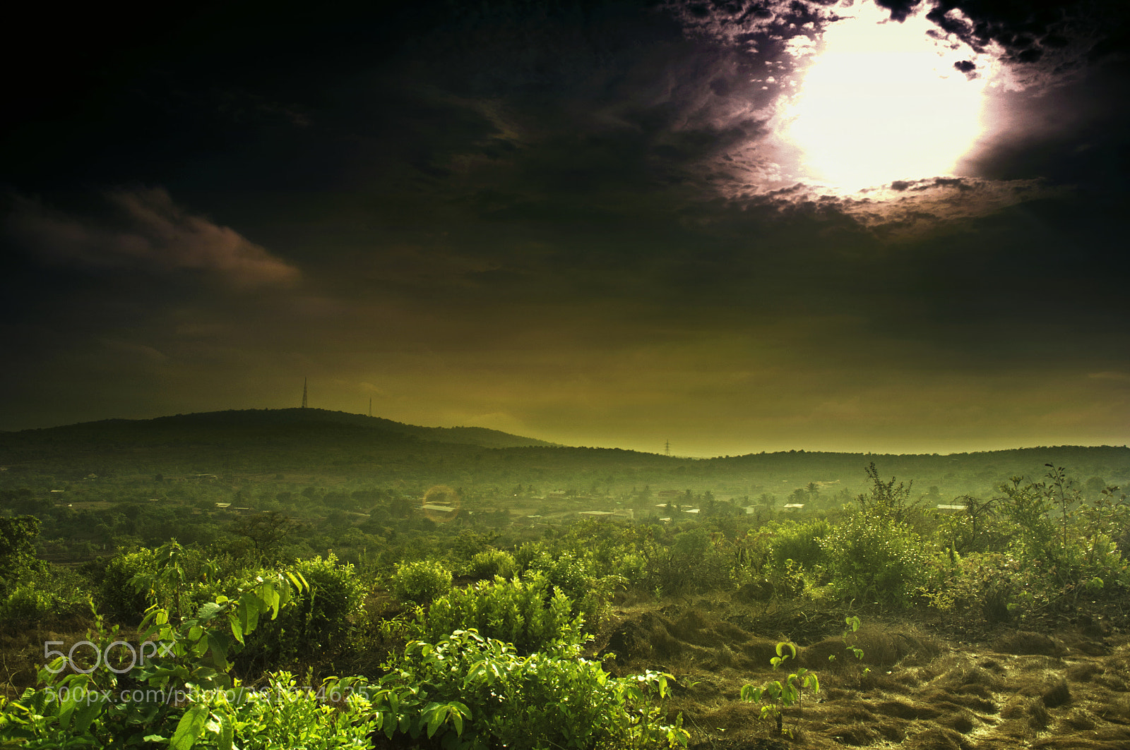 Nikon D90 sample photo. Nature photography