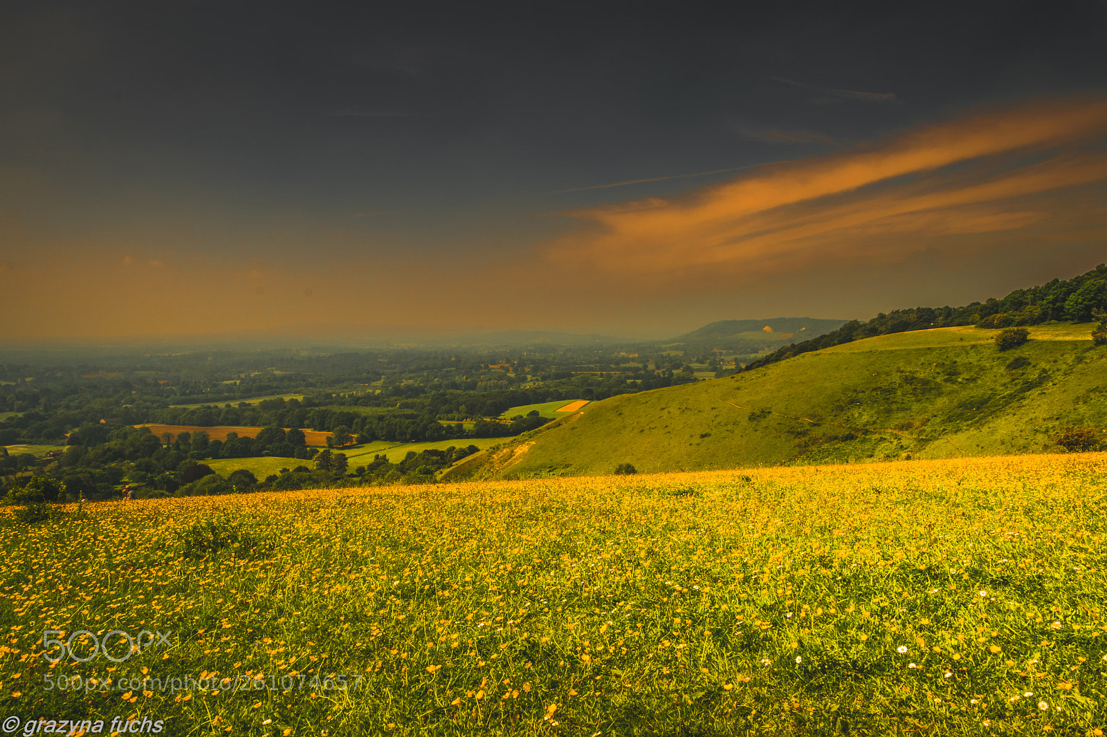 Nikon D3300 sample photo. Colley hill photography