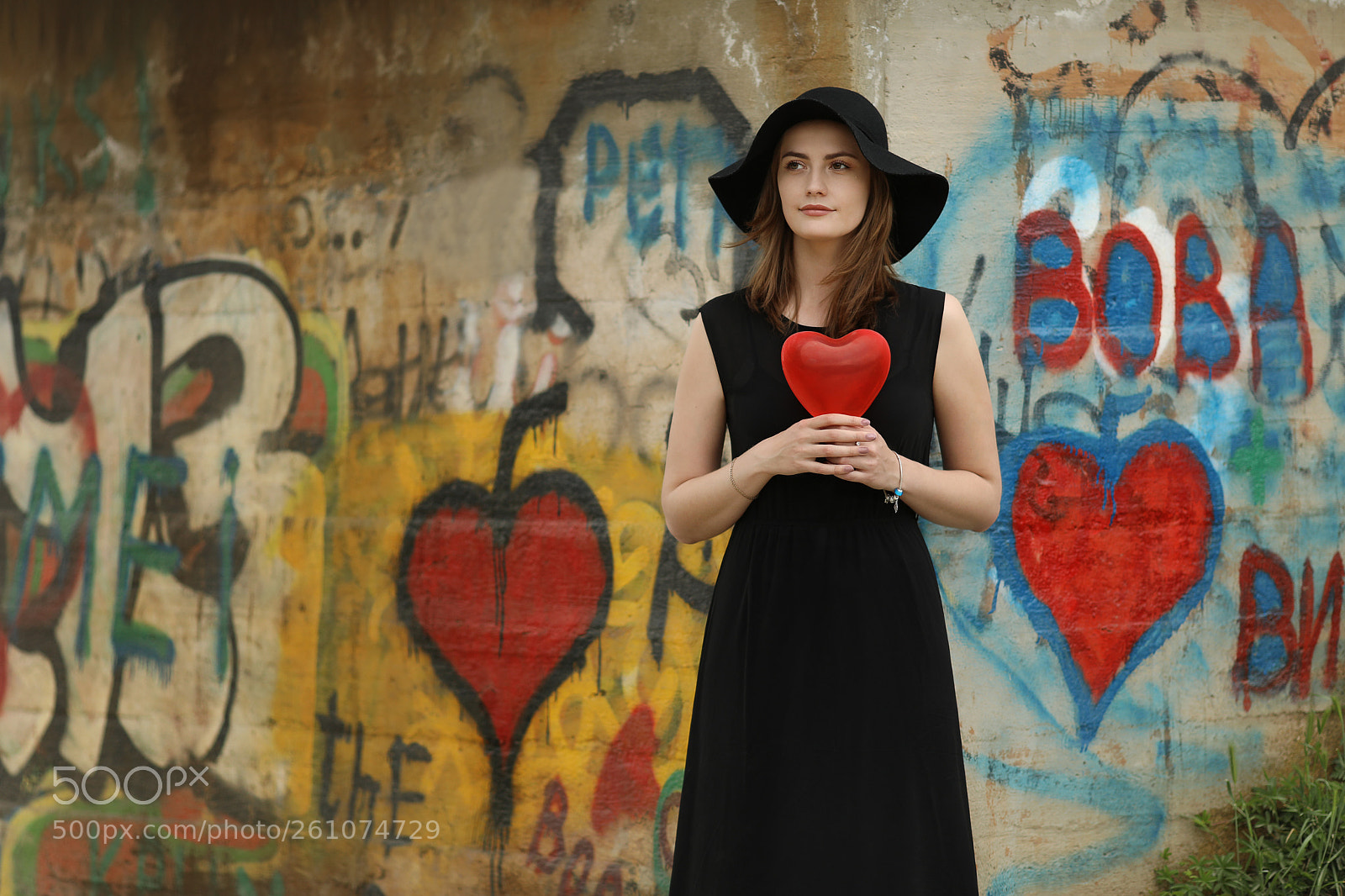 Canon EOS 5D Mark IV sample photo. Red hearts. photography