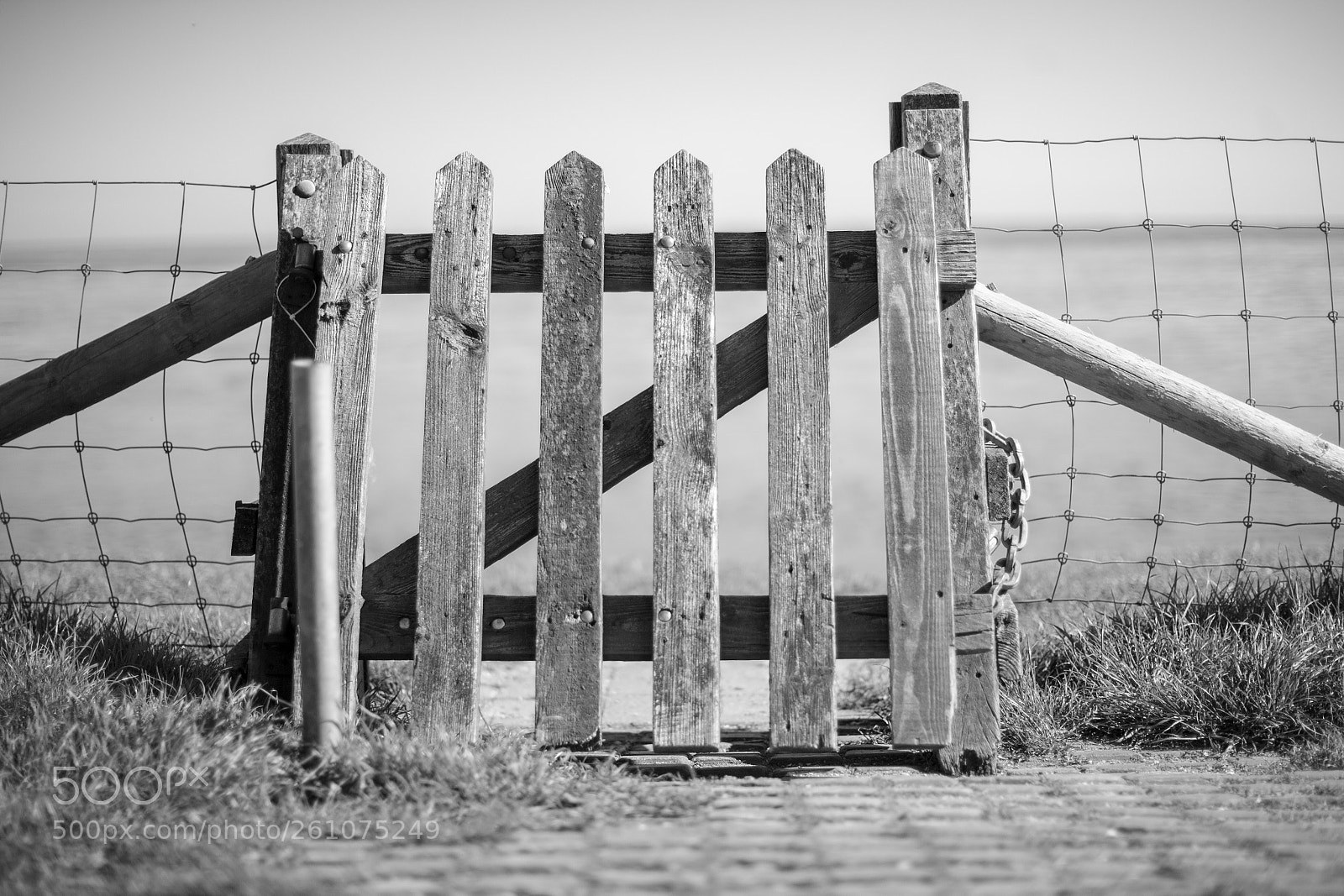 Canon EOS-1Ds Mark II sample photo. Woorden fench photography