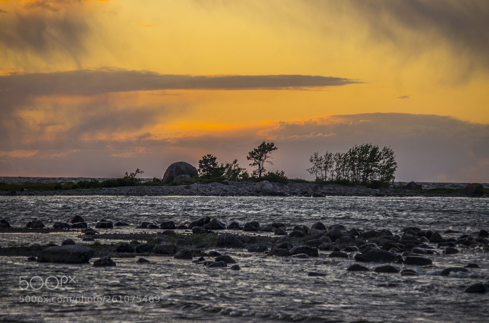 Pentax K-5 sample photo. Neem photography