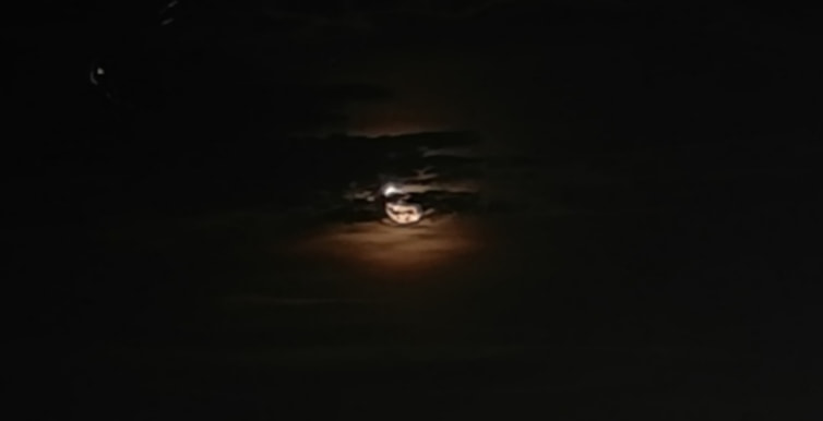 HUAWEI nova 2i sample photo