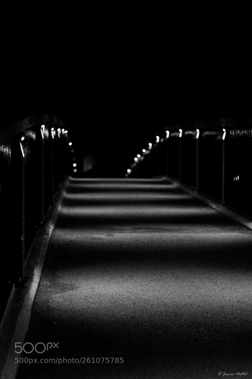Nikon D3100 sample photo. Bridge photography