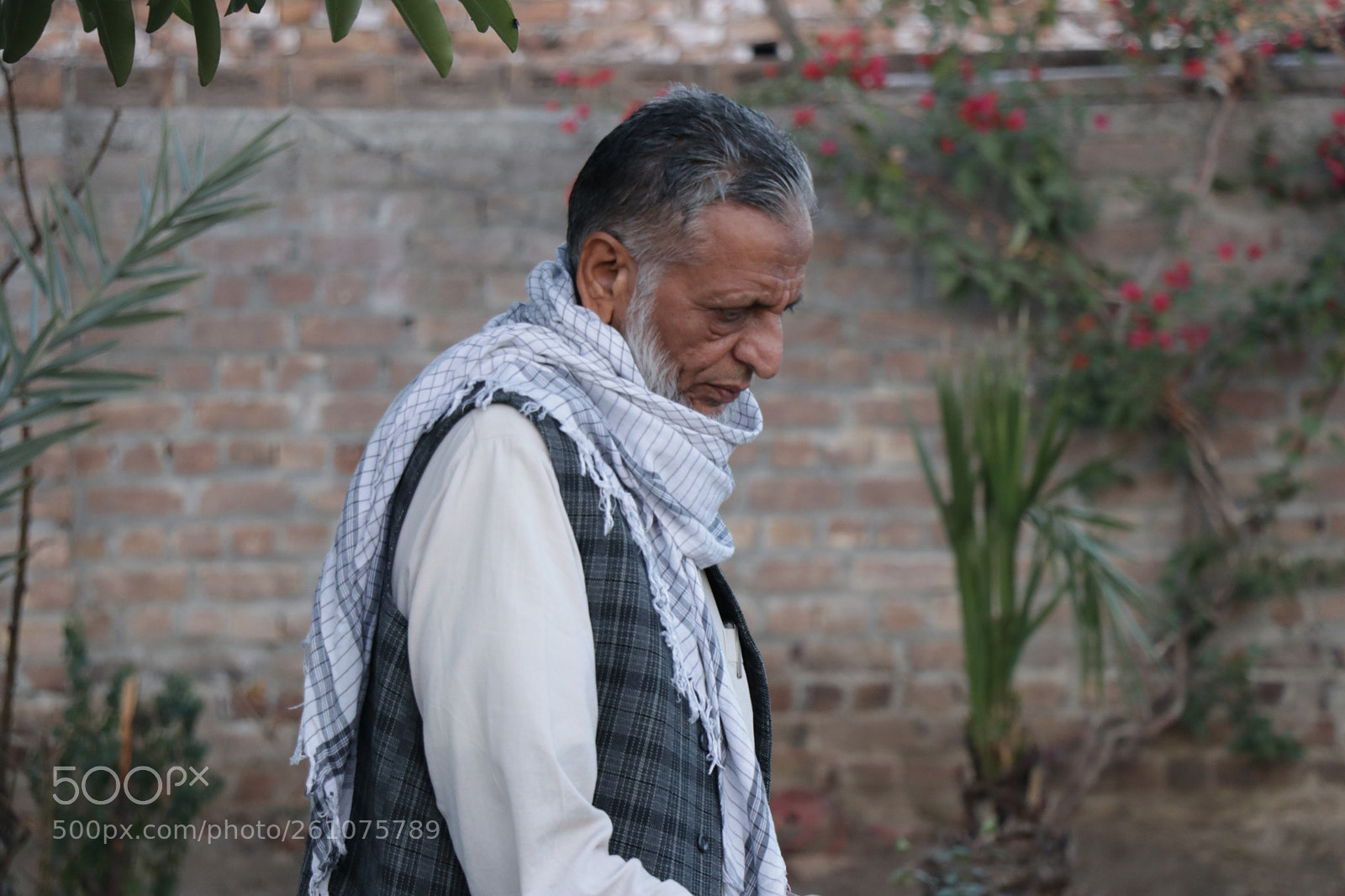 Canon EOS 80D sample photo. Img photography