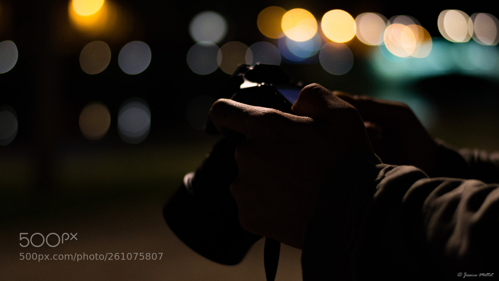 Nikon D3100 sample photo. Bokeh photography