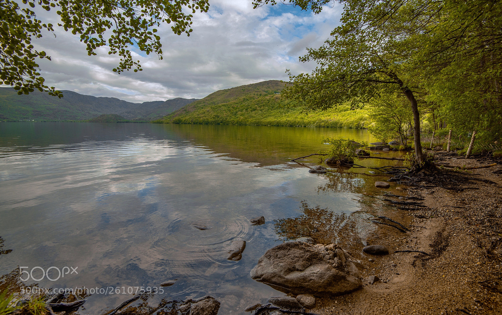 Nikon D810 sample photo. Lago de sanabria, spain.  photography