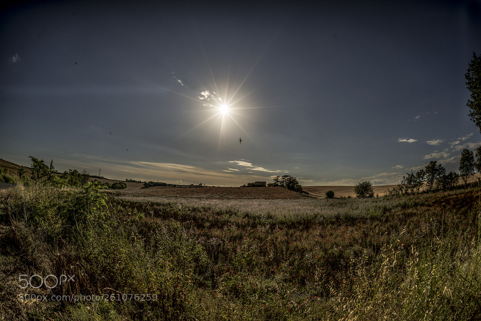 Nikon D610 sample photo. La campagna laziale photography