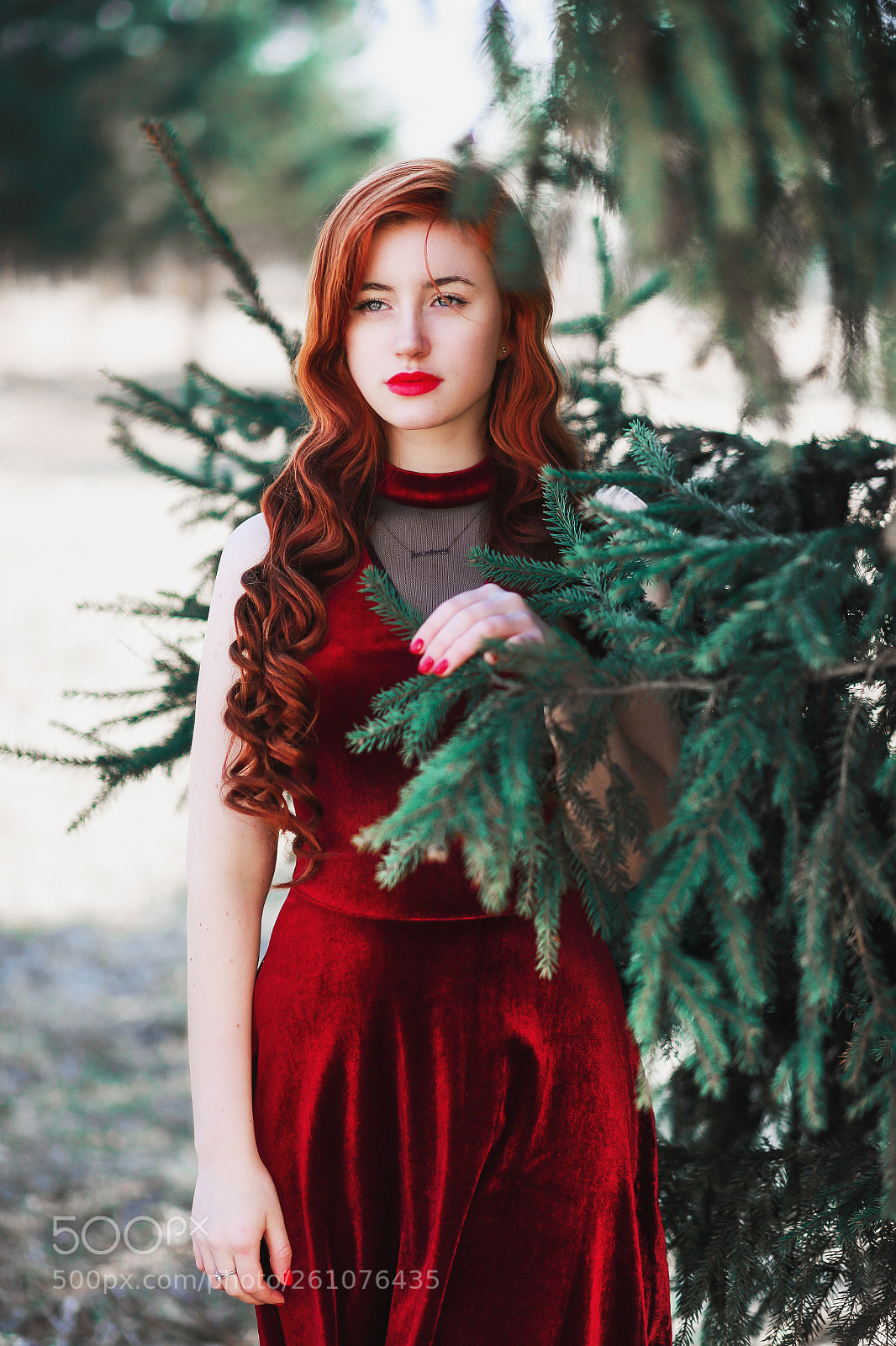 Canon EOS 6D sample photo. Img photography
