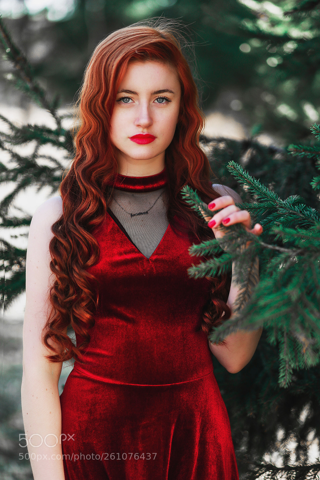Canon EOS 6D sample photo. Img орн photography