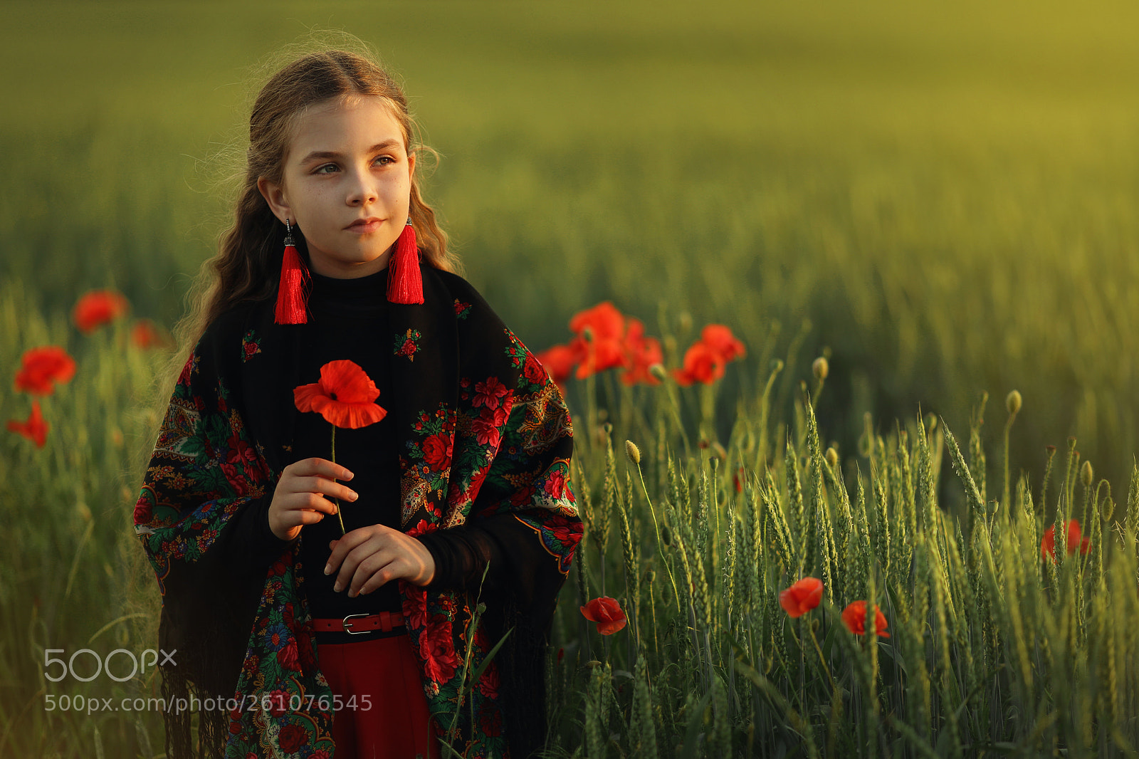 Canon EOS 5D Mark IV sample photo. Girl on the field photography