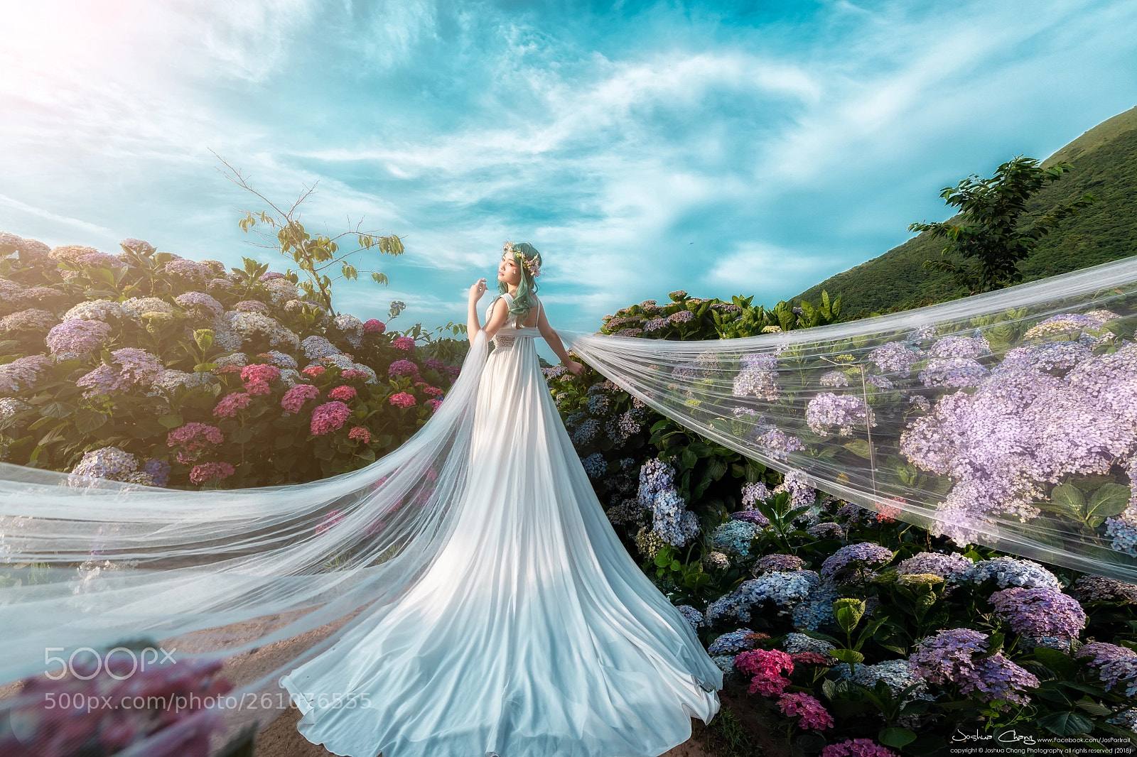 Nikon D850 sample photo. Pre wedding - fairy photography