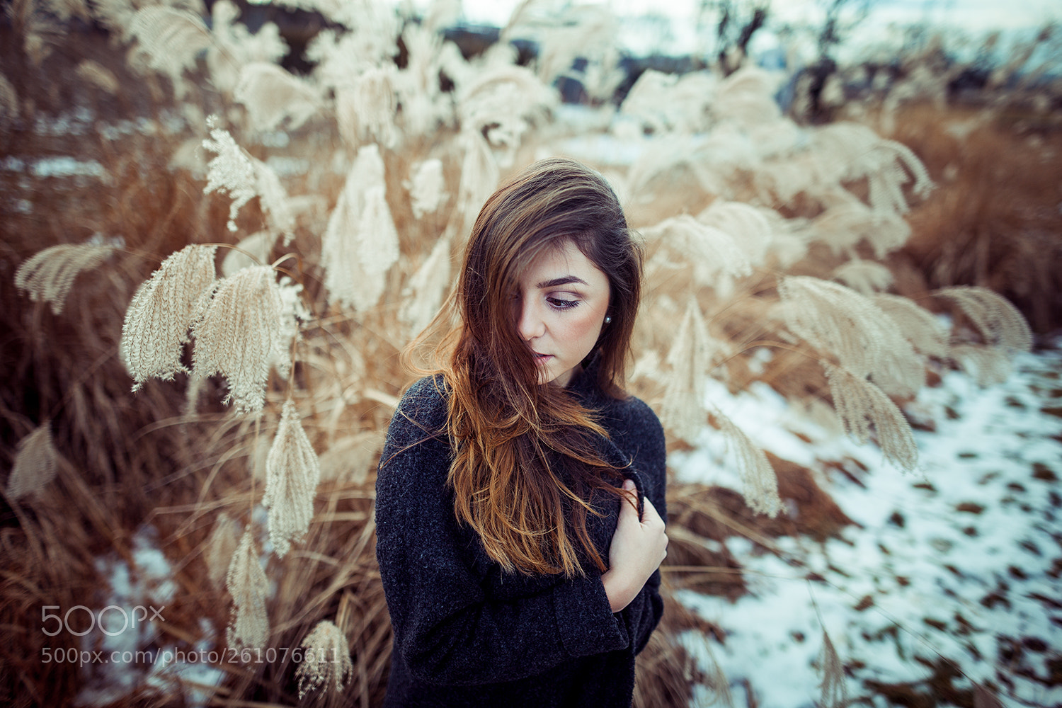 Canon EOS 5D Mark II sample photo. Sina photography