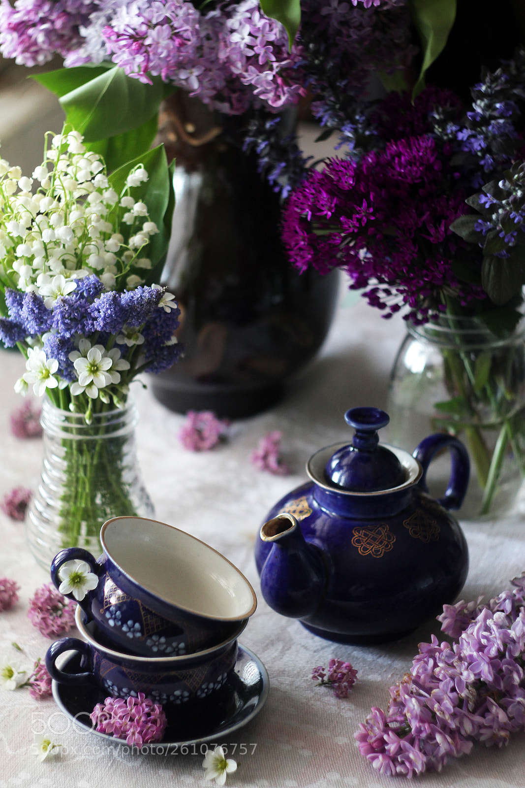 Canon EOS 550D (EOS Rebel T2i / EOS Kiss X4) sample photo. @dreamsgarden37 photography