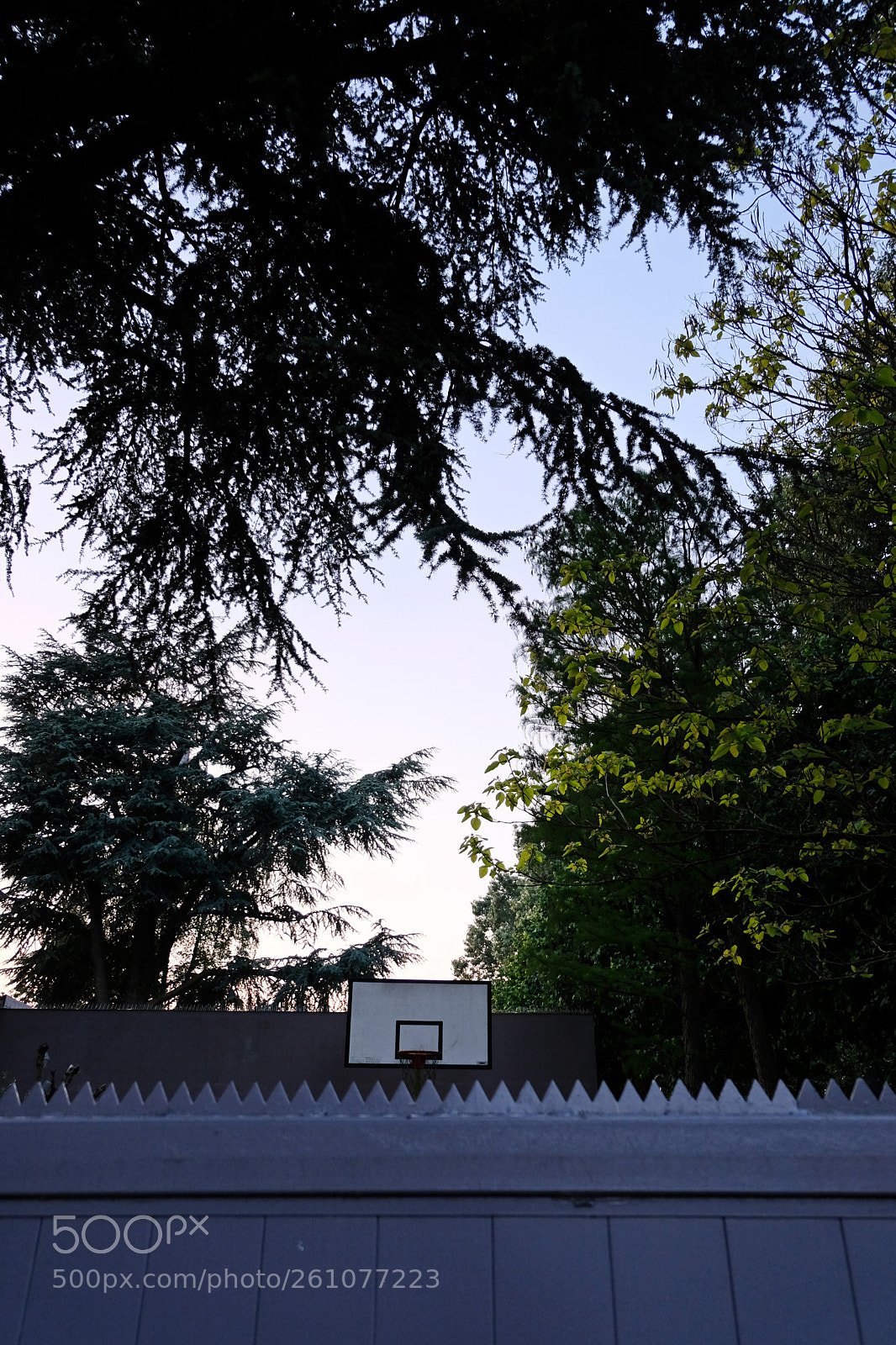 Fujifilm X-T20 sample photo. Suburban ballin photography