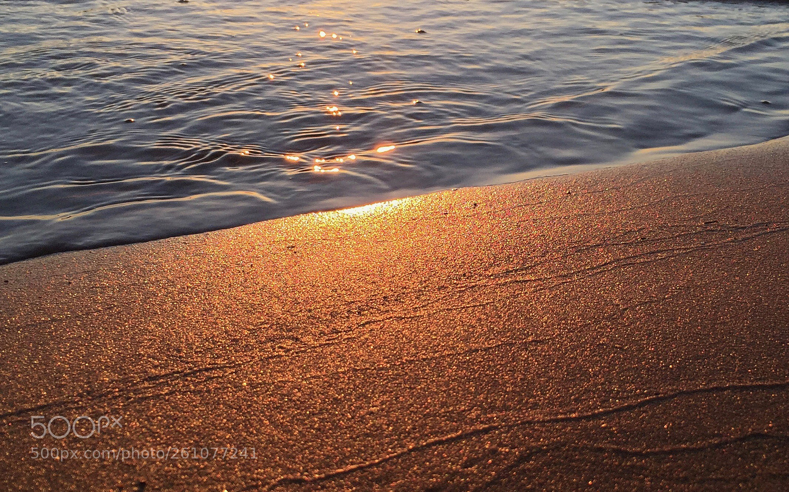 Apple iPhone 6 sample photo. Untitled photography