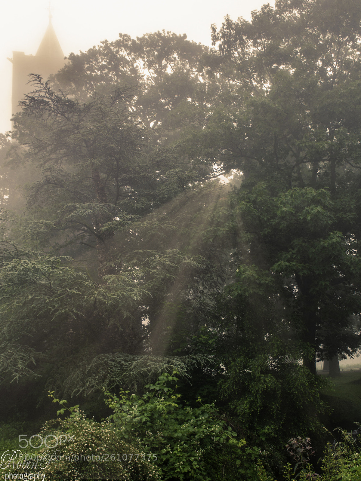 Nikon D5000 sample photo. Church in the mist photography