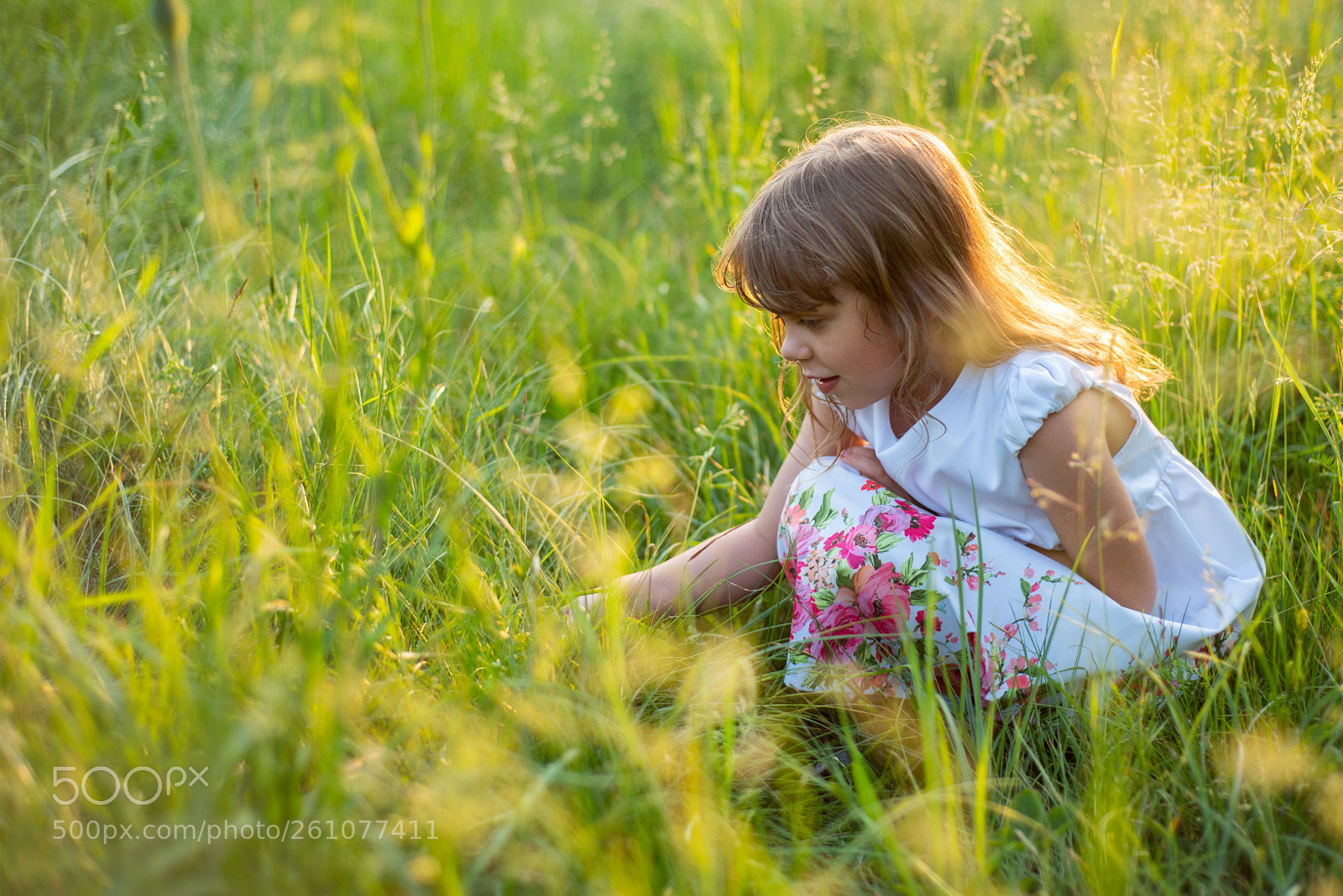 Nikon D810 sample photo. Zosia photography