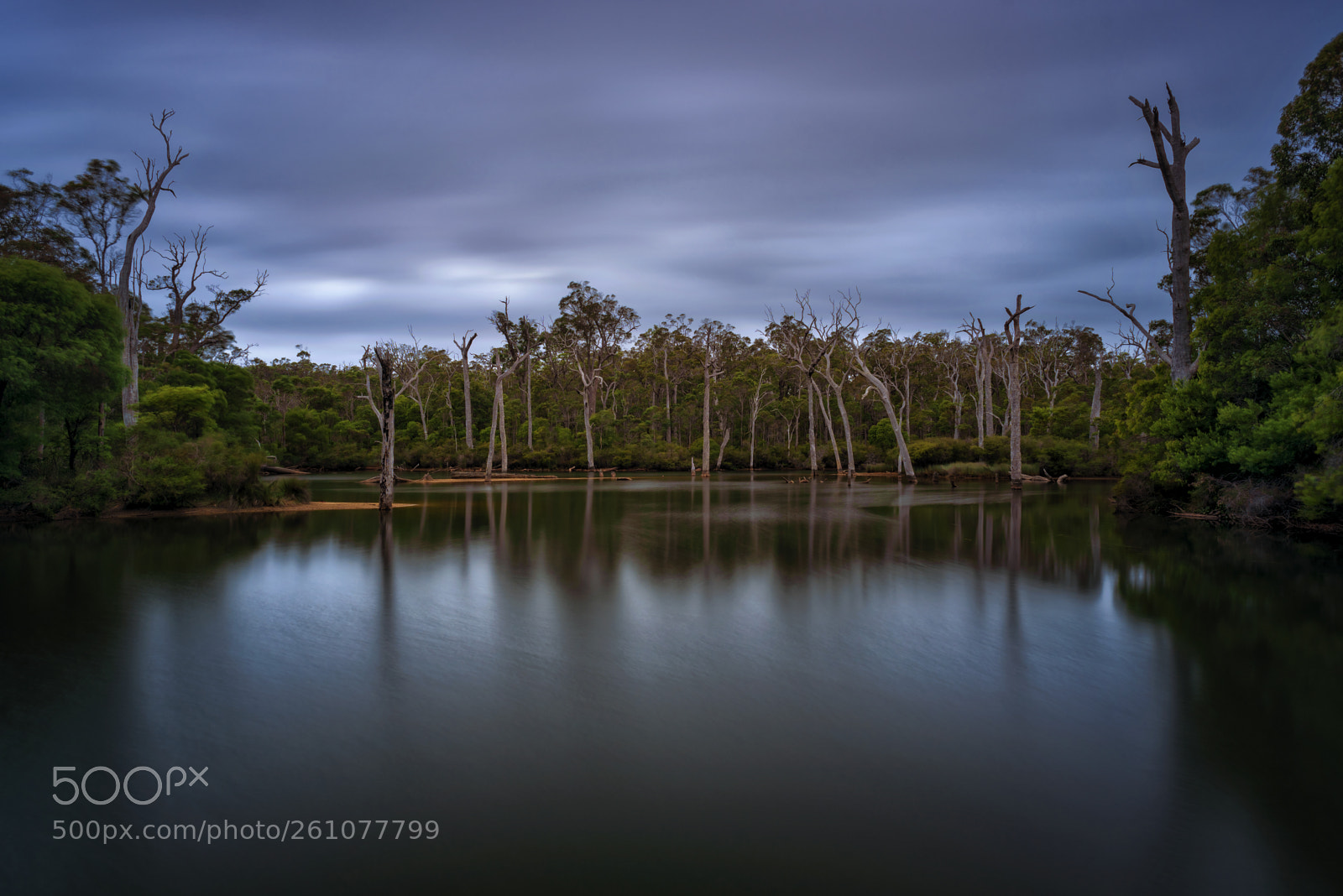 Nikon D750 sample photo. Margaret river photography