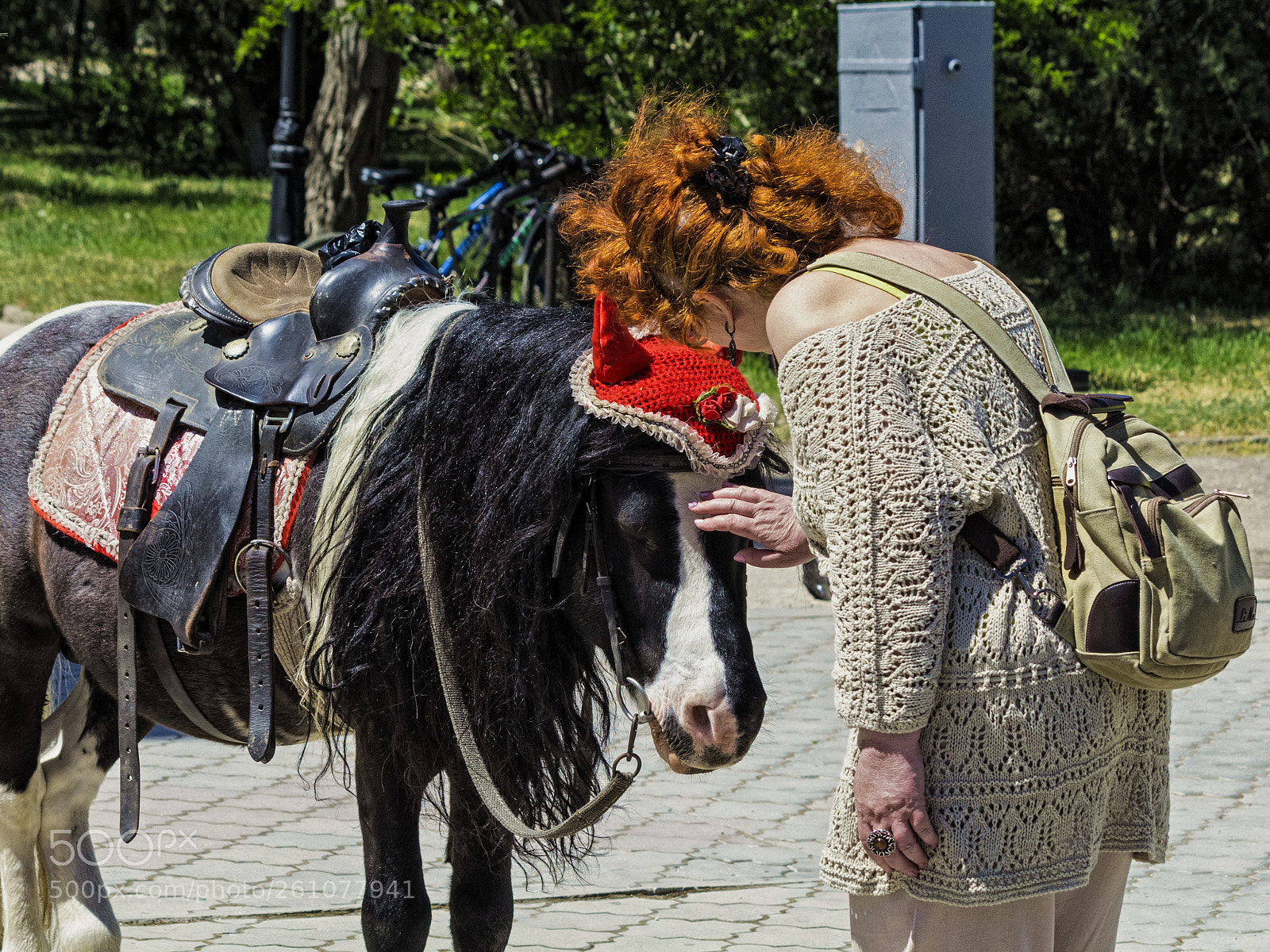 Canon EOS 1300D (EOS Rebel T6 / EOS Kiss X80) sample photo. Little horse ii photography
